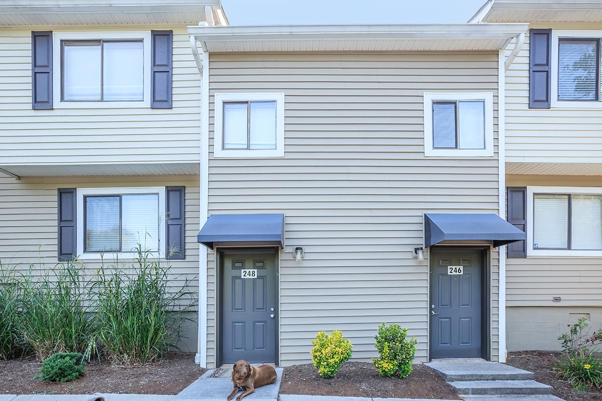 Apartment Homes For Rent