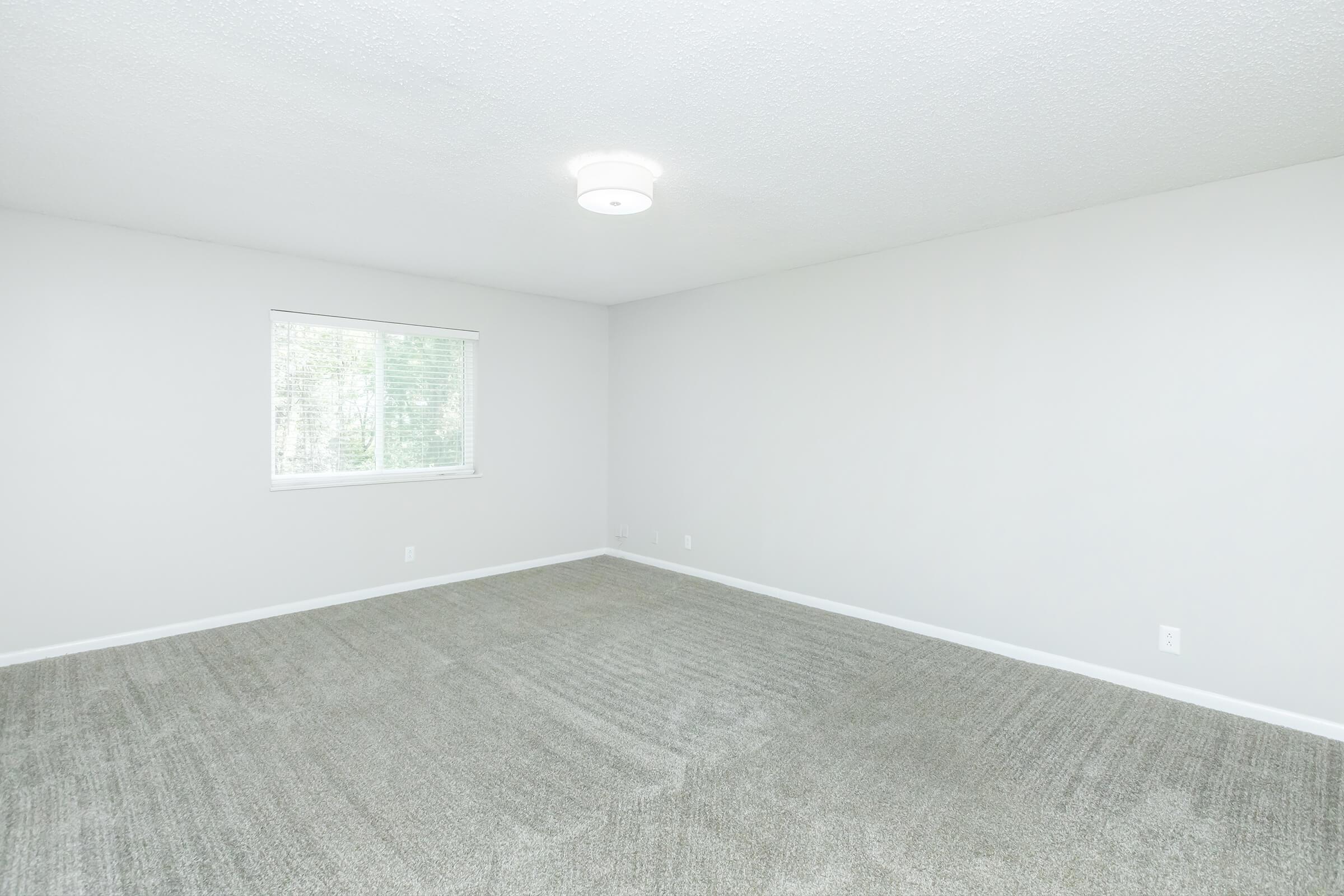 A spacious, empty room with light gray walls and a soft carpet. A window with a simple white frame allows natural light to enter. The ceiling features a modern light fixture, providing overhead illumination. The overall ambiance is clean and minimalistic, ready for personalization.