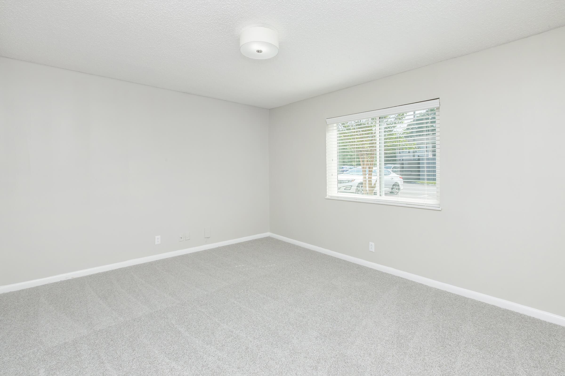 Empty room with light gray carpet, white walls, and a ceiling light fixture. A window with blinds allows natural light in, showing a view of the outdoors. The space appears clean and uncluttered, suitable for various uses such as a living area or office.