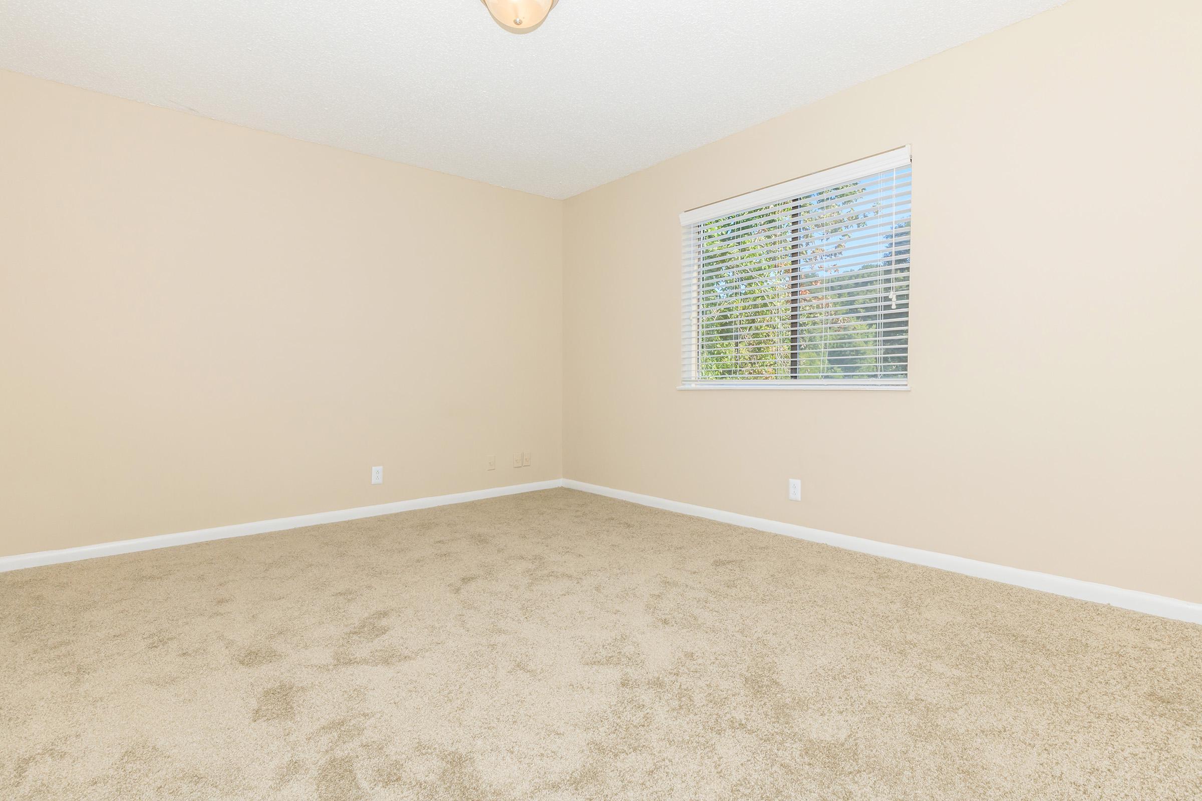 Cozy bedroom with carpet