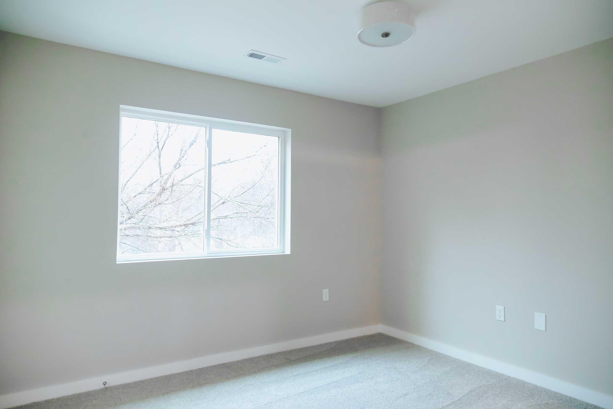 A sparsely furnished room with light gray walls and a window letting in natural light. The floor is covered with carpet, and there is a simple ceiling light fixture. The view outside the window shows bare tree branches.