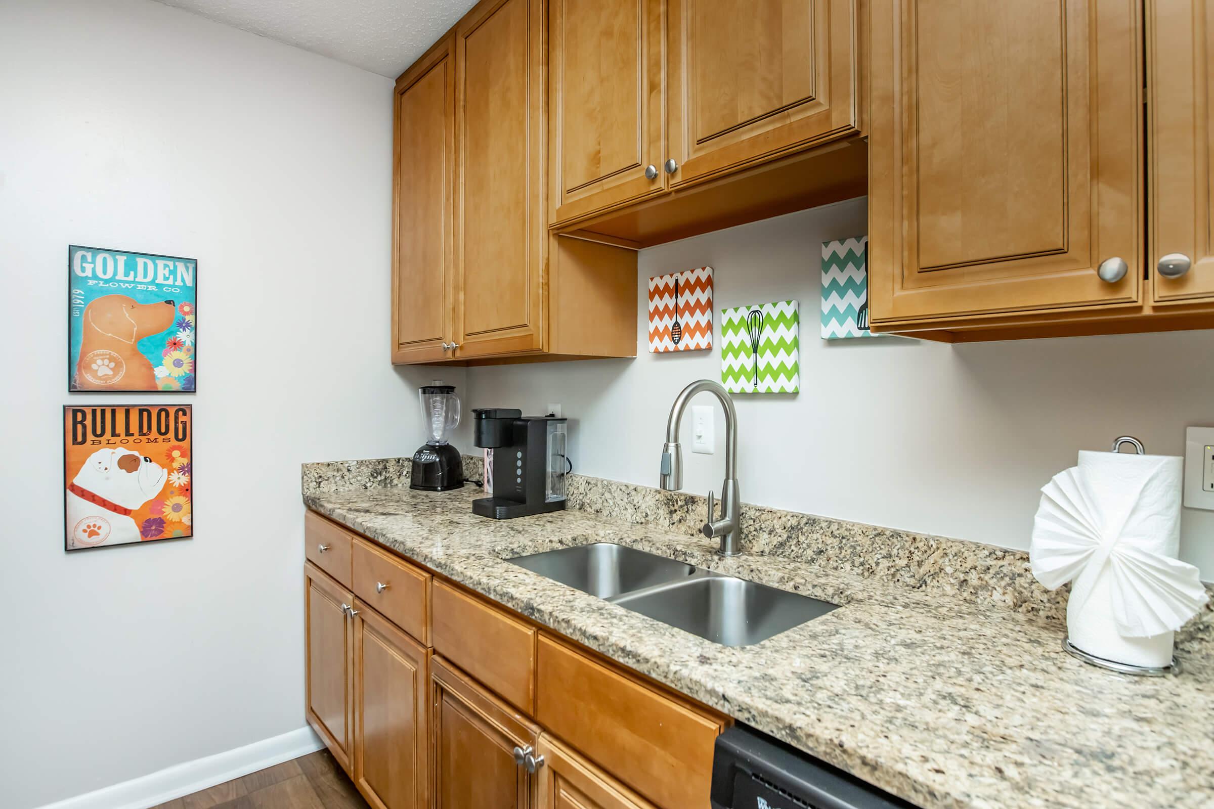 A modern kitchen featuring wooden cabinets, a granite countertop with a double sink, a coffee maker, a blender, and decorative wall art. Colorful artwork hangs above the sink, adding a pop of color to the space. The overall design is bright and functional, showcasing a clean, organized look.