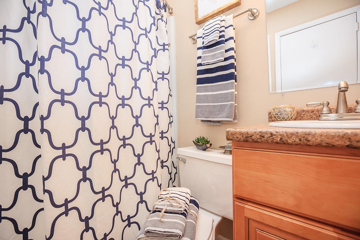 The Bathroom