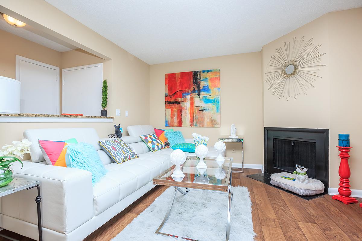 The Living Room