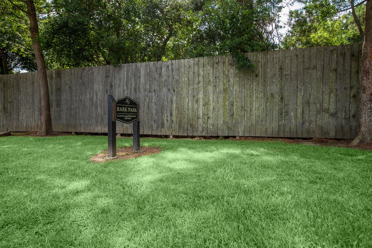 a close up of a green field in front of a fence