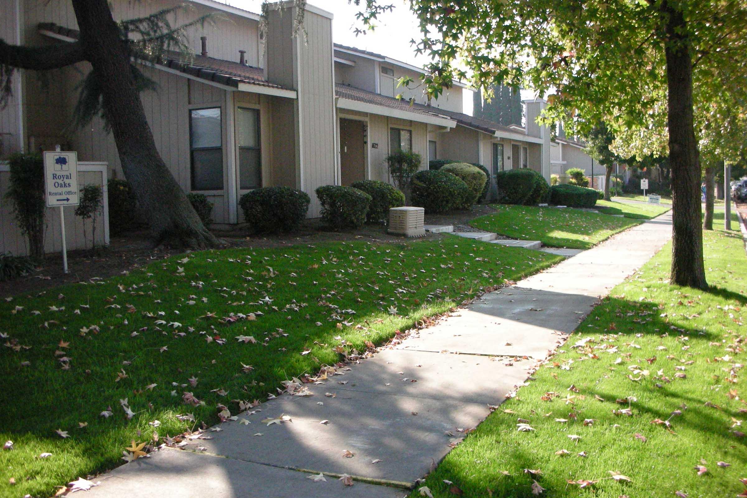 A pathway lined with greenery leads to a row of residential buildings. The units feature windows and small shrubs, and a sign for "Royal Oaks" is visible. Fallen leaves cover the grass, indicating the season. Trees provide shade along the walkway, contributing to a peaceful suburban atmosphere.