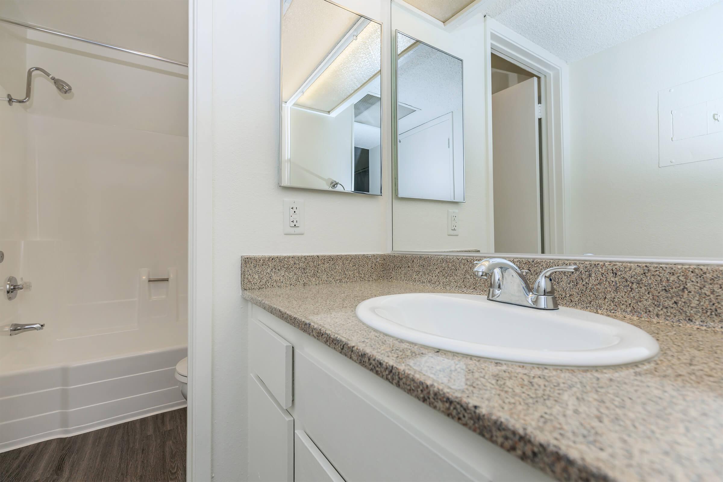 Bathroom sink with shower