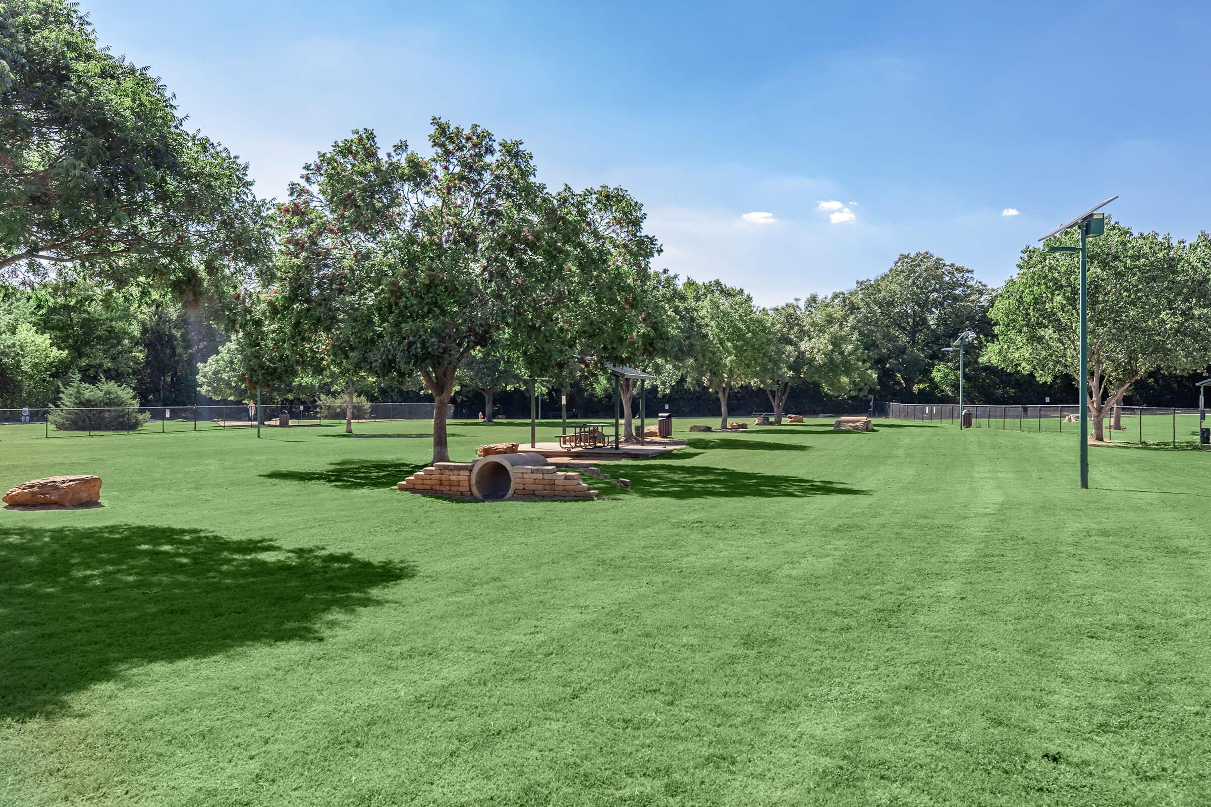 a group of lawn chairs sitting on top of a lush green field