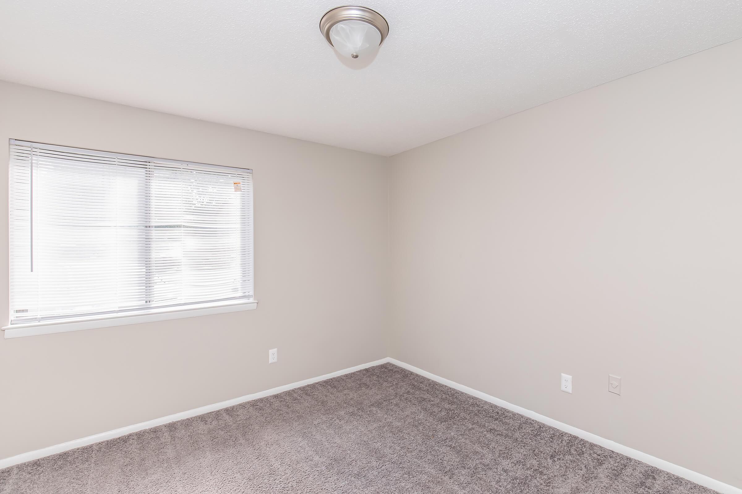 Empty room with light gray carpet and beige walls. A single window with blinds allows natural light, and a ceiling light fixture is mounted in the center. There are no furnishings or decorations, creating a clean and minimalist aesthetic.