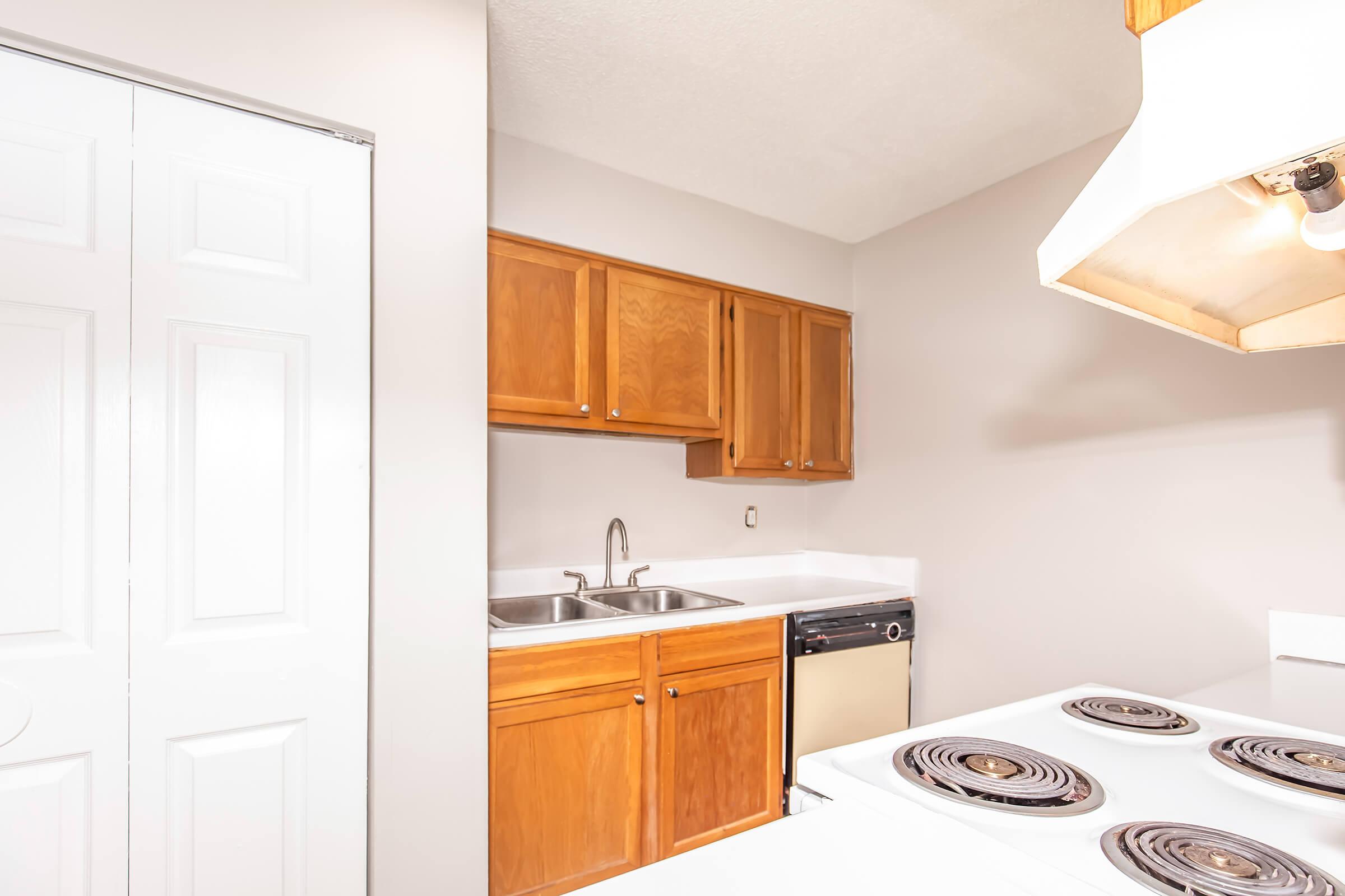 A small kitchen with light-colored walls, featuring wooden cabinets, a double sink, a dishwasher, and a white stove with electric burners. There is a closed closet door on the left side, providing additional storage space. The overall design is simple and functional.