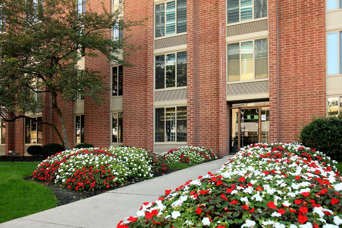 a red flower in front of a brick building