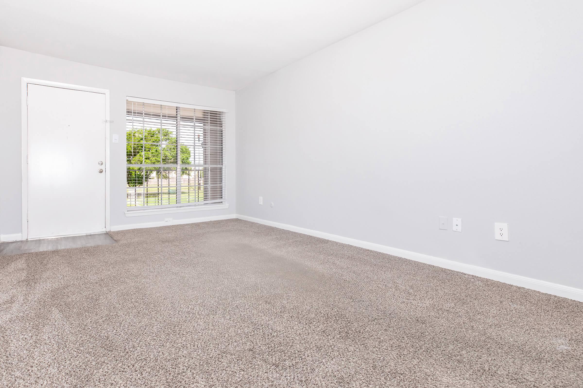 A spacious, empty room with light gray walls and tan carpet. There is a large window with white blinds allowing natural light in, and a white door leading outside. The room appears clean and ready for furnishing.