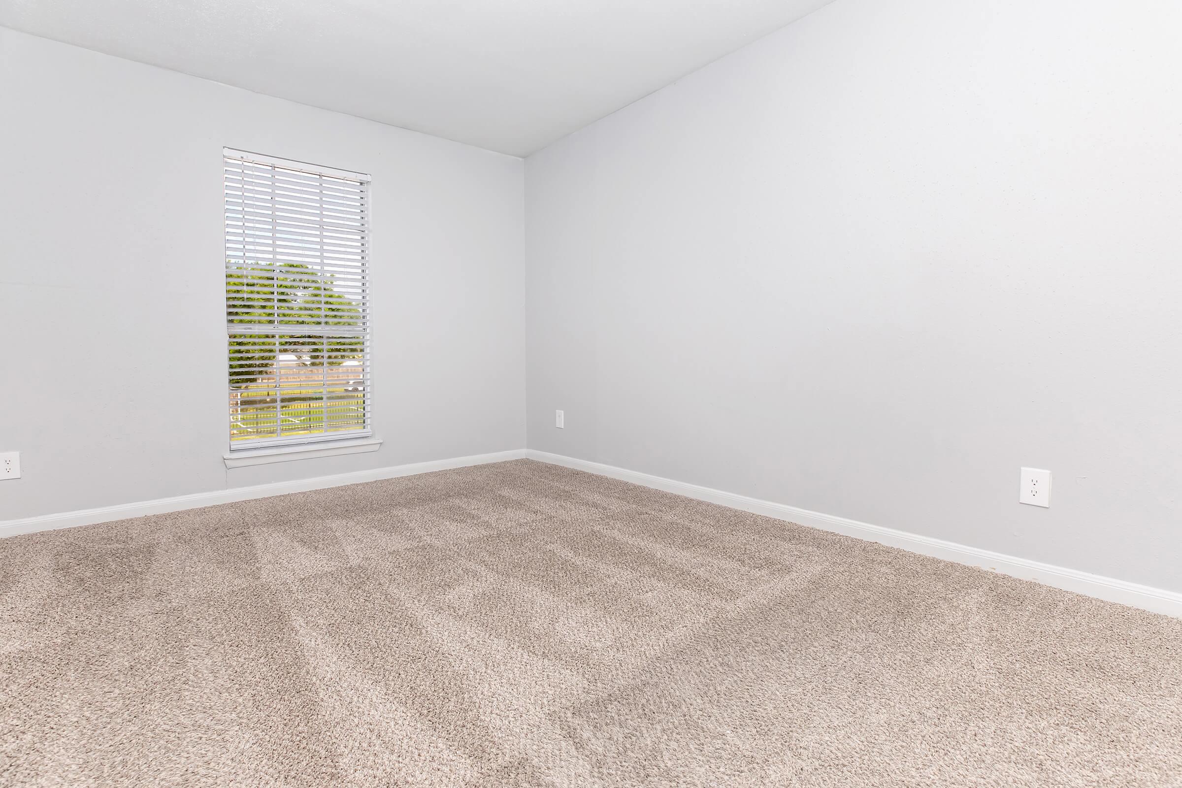Empty room with light gray walls, carpeted floor, and a window featuring white blinds. The window allows natural light to enter, illuminating the space. There are no furnishings, creating a minimalist and spacious atmosphere.