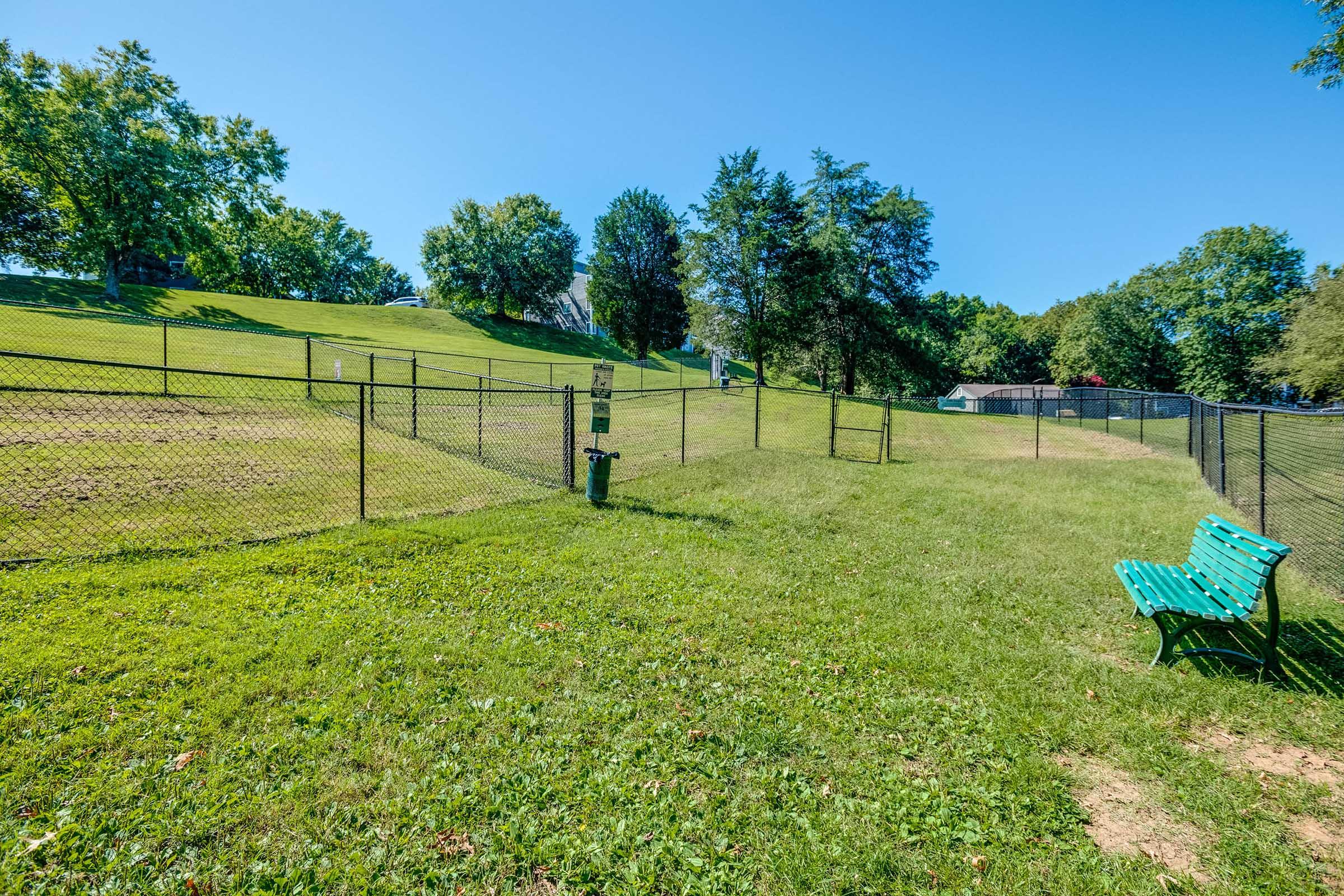 A spacious, grassy park area enclosed by a chain-link fence. Lush green trees line the background, and a two-tone green bench is visible in the foreground. The sky is clear and blue, indicating a sunny day. The scene suggests a peaceful environment, likely designed for recreational activities.