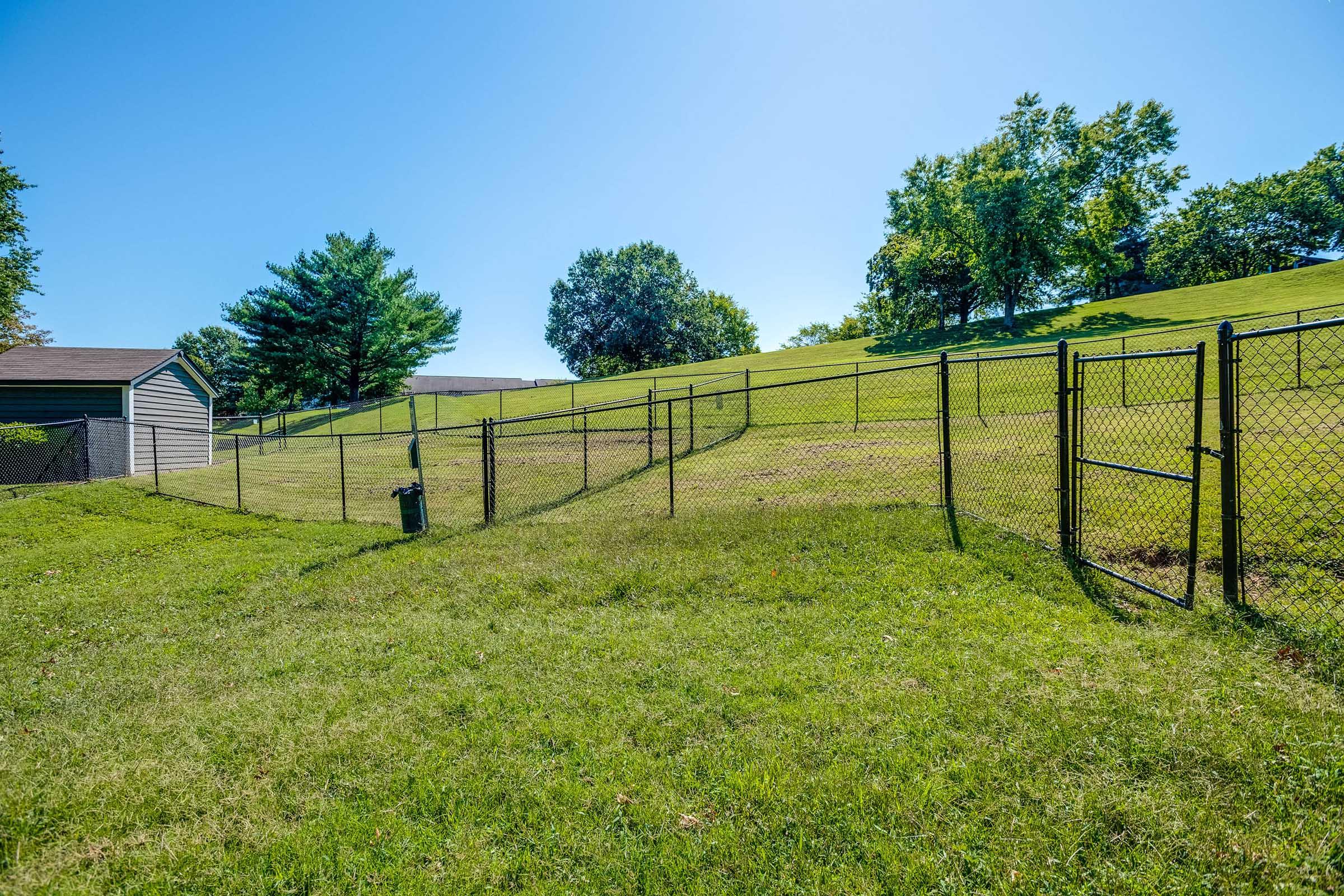 A green lawn with a chain-link fence surrounding it. The grass is well-maintained, and there are a few trees in the background on a small hill. A shed is visible to the left. The sky is clear and blue, indicating a sunny day.