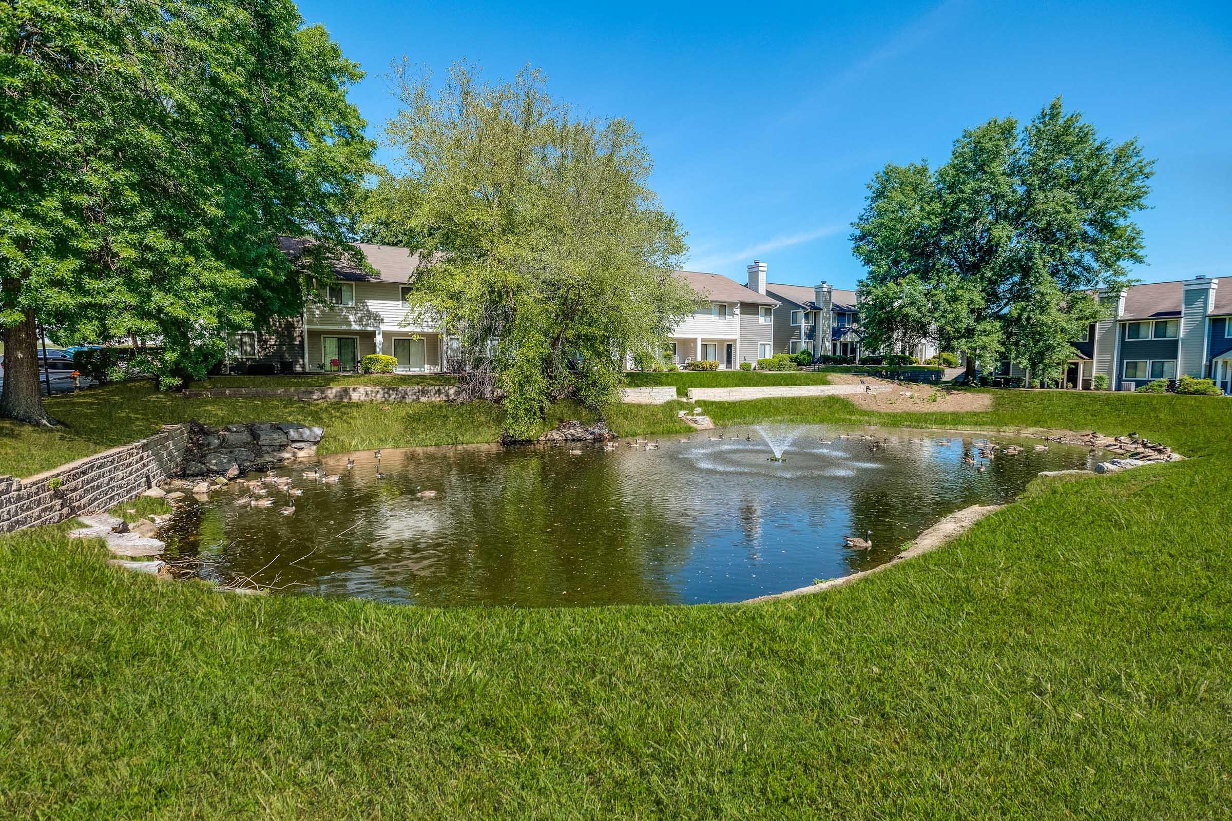 A serene pond surrounded by grassy areas and trees, with a fountain in the center. Residential buildings can be seen in the background under a clear blue sky. The scene conveys a peaceful and inviting outdoor environment.