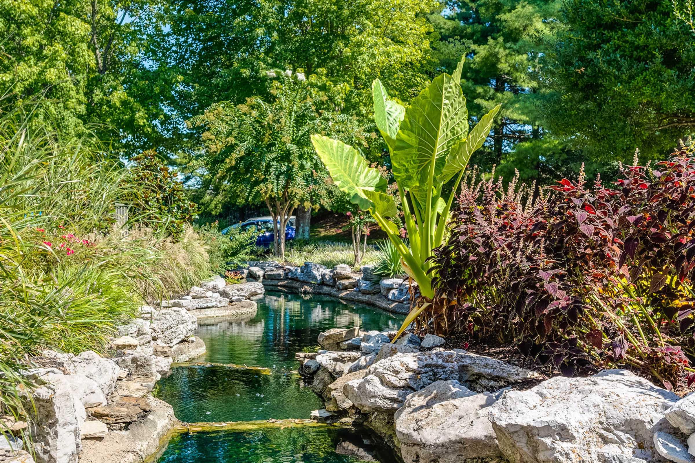 A serene garden scene featuring a winding stream surrounded by lush greenery. Large tropical leaves and colorful plants frame the water, while natural stone creates the bank. Bright sunlight filters through the trees, enhancing the tranquil atmosphere.