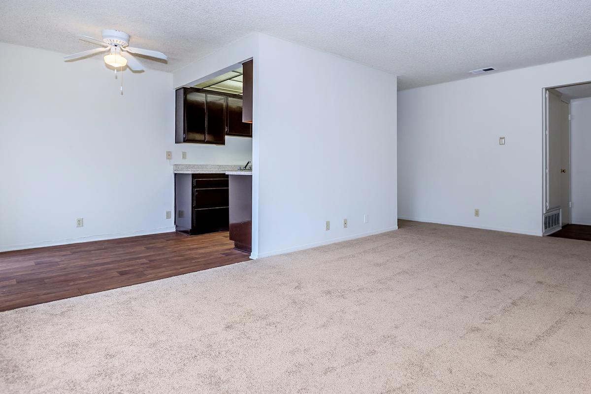 Vacant living room with carpet