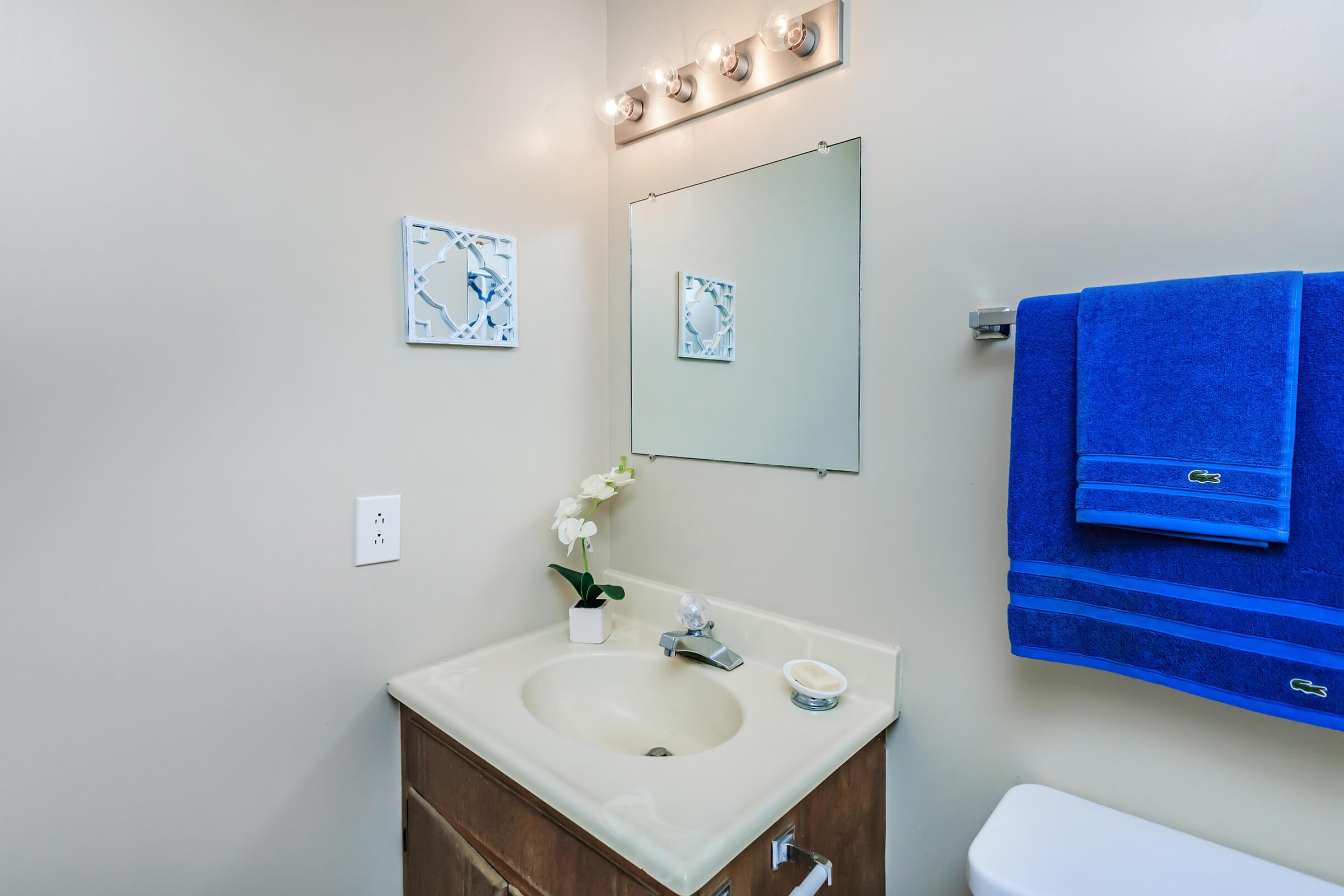 a white sink sitting under a mirror
