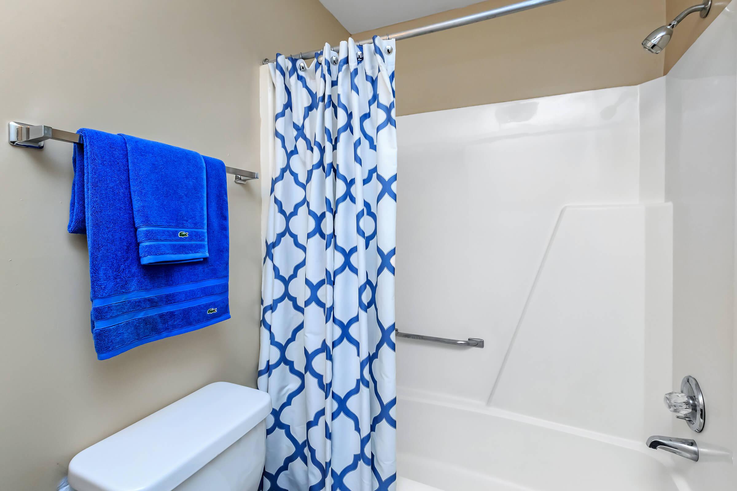 a blue and white shower curtain