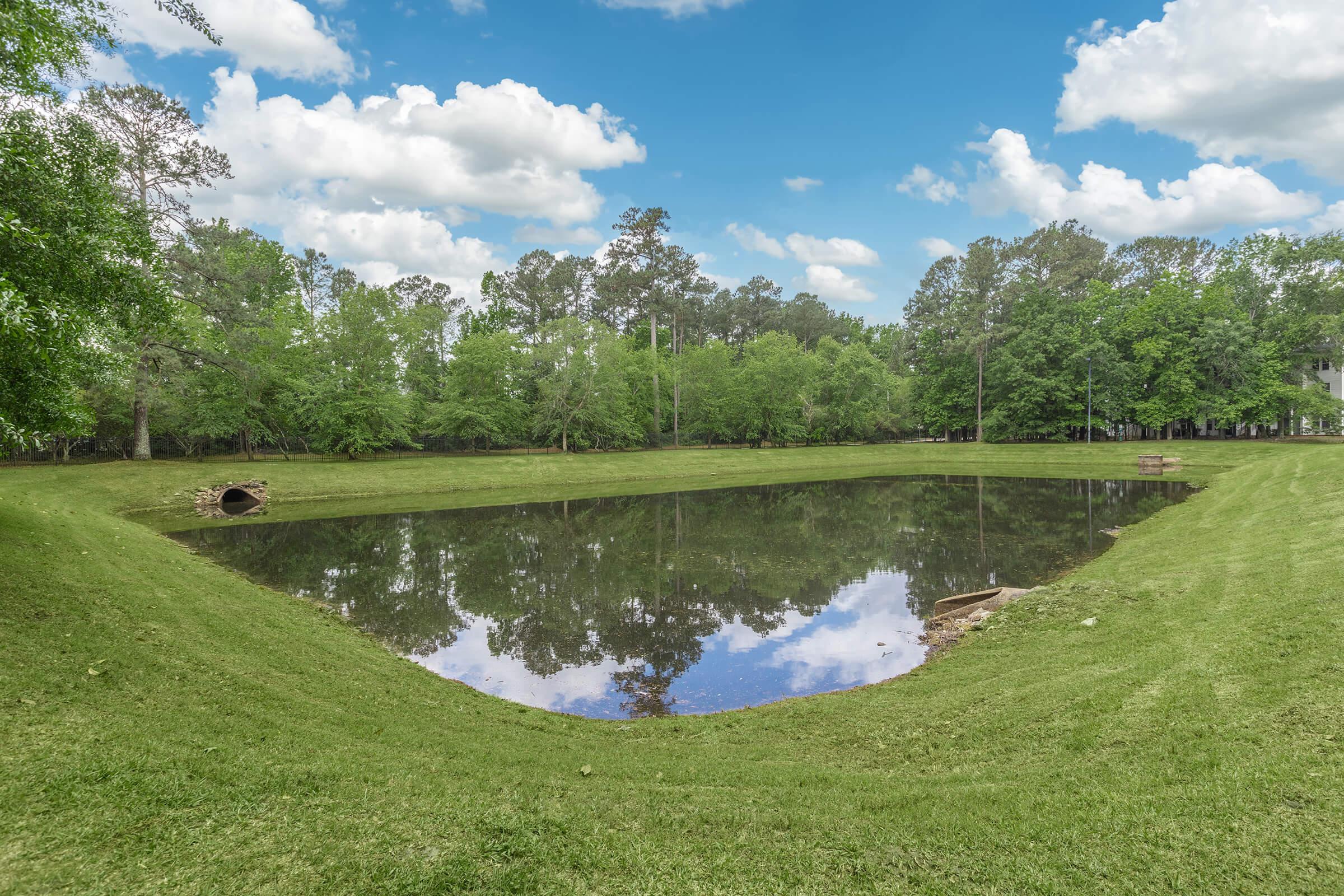 a large body of water with grass and trees