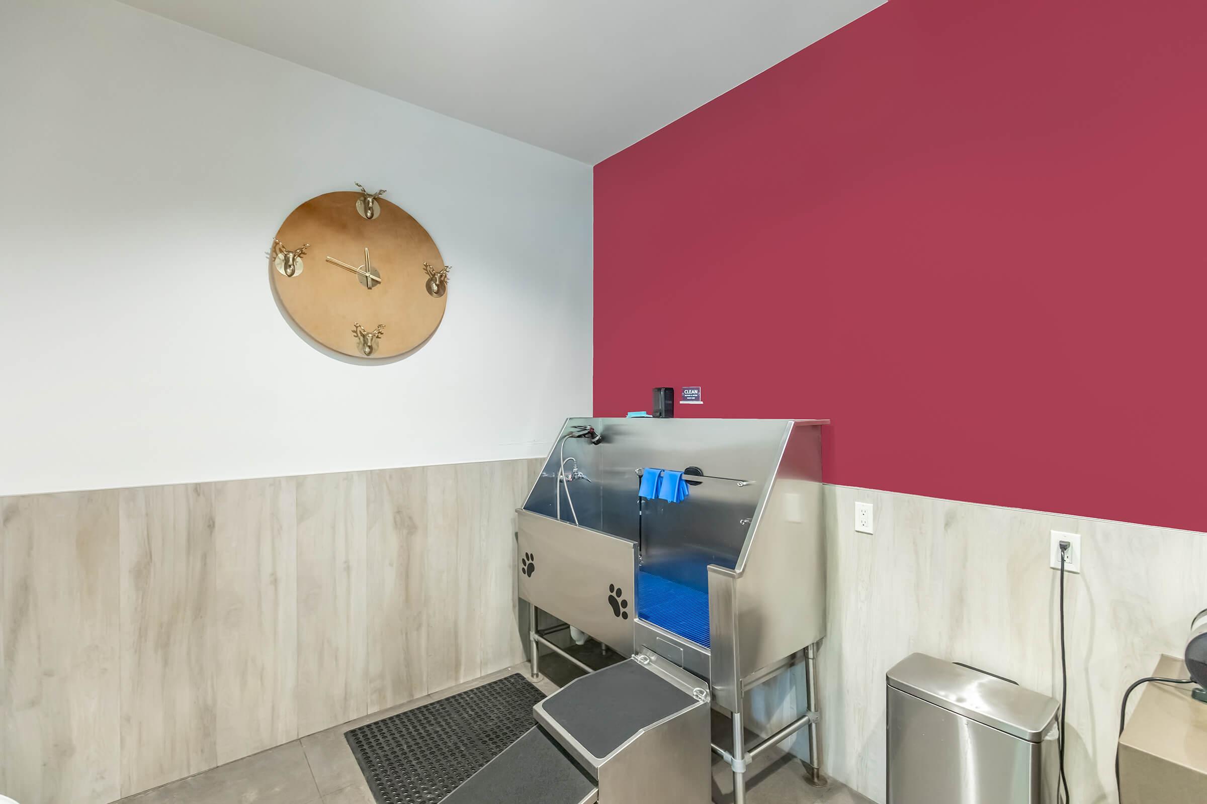 A pet washing station in a small room with a red accent wall. The station features a stainless steel tub with a blue mat, a wall clock accented with animal motifs, and a trash bin. The floor is tiled, creating a clean, functional space.