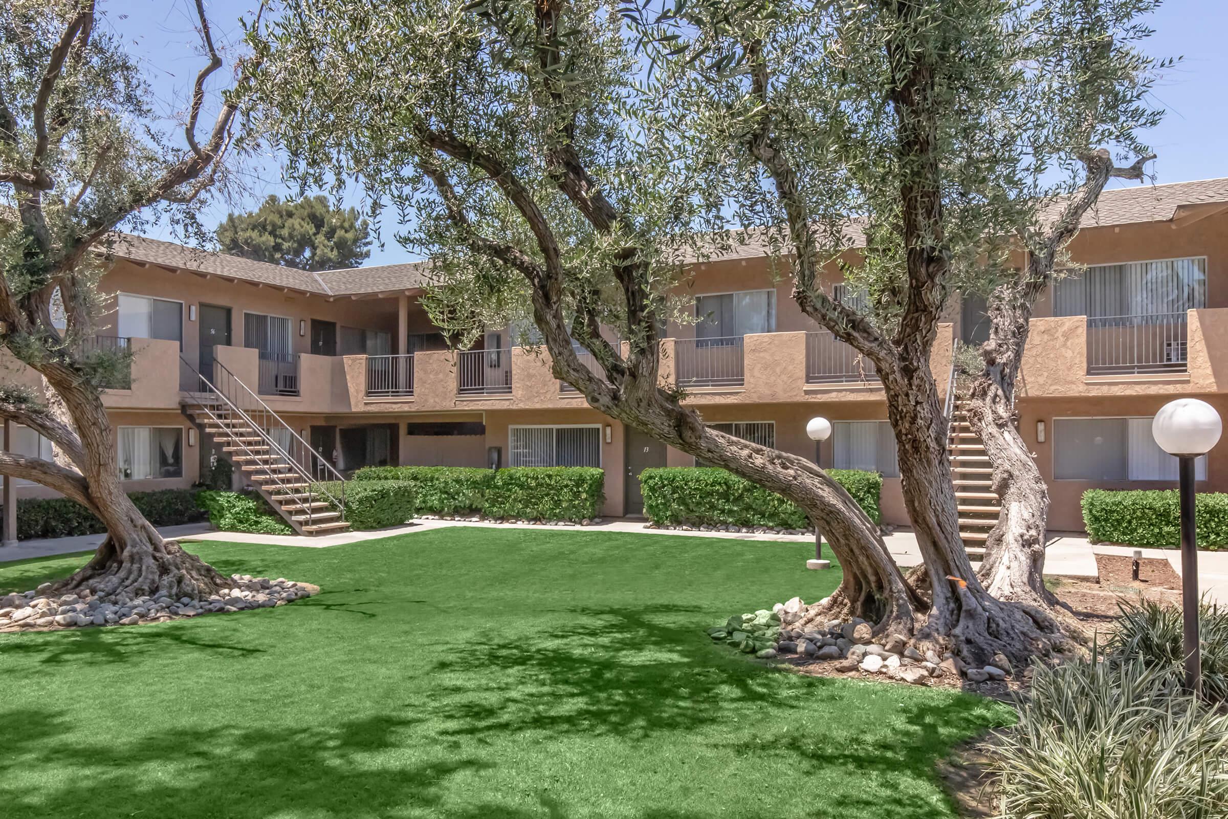 A landscaped courtyard featuring two olive trees and a manicured grassy area, with an apartment building in the background. The building has multiple staircases leading to upper levels and large windows, complemented by shrubs and outdoor lighting.
