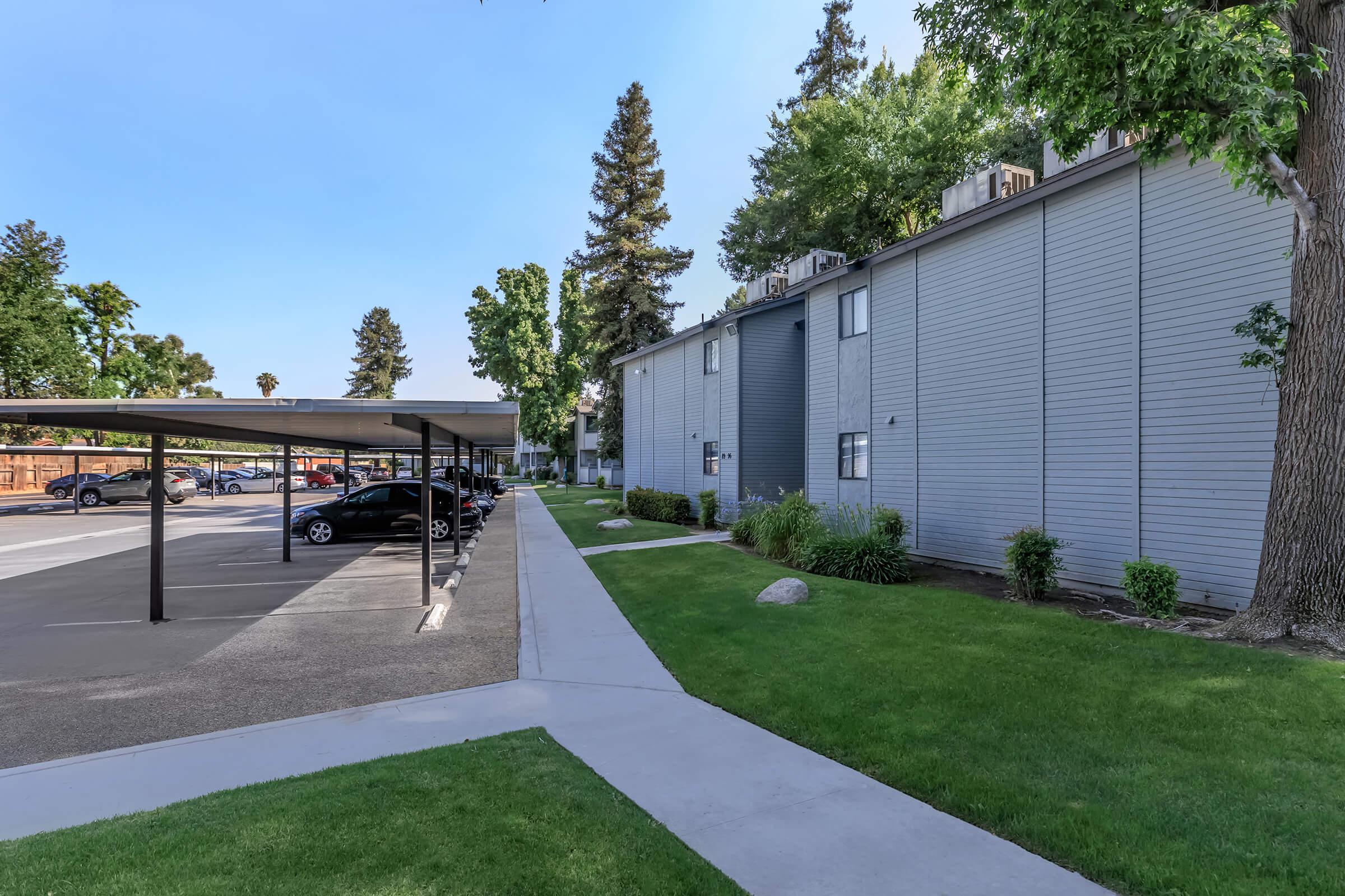 a path with trees on the side of a building