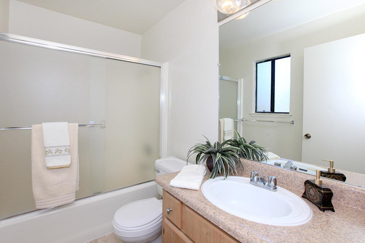 You will love the apartment features at Palm Lakes
