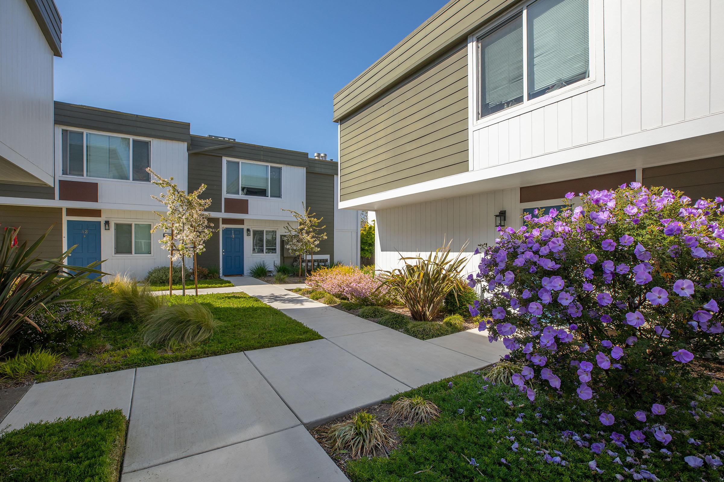 a close up of a flower garden in front of a house