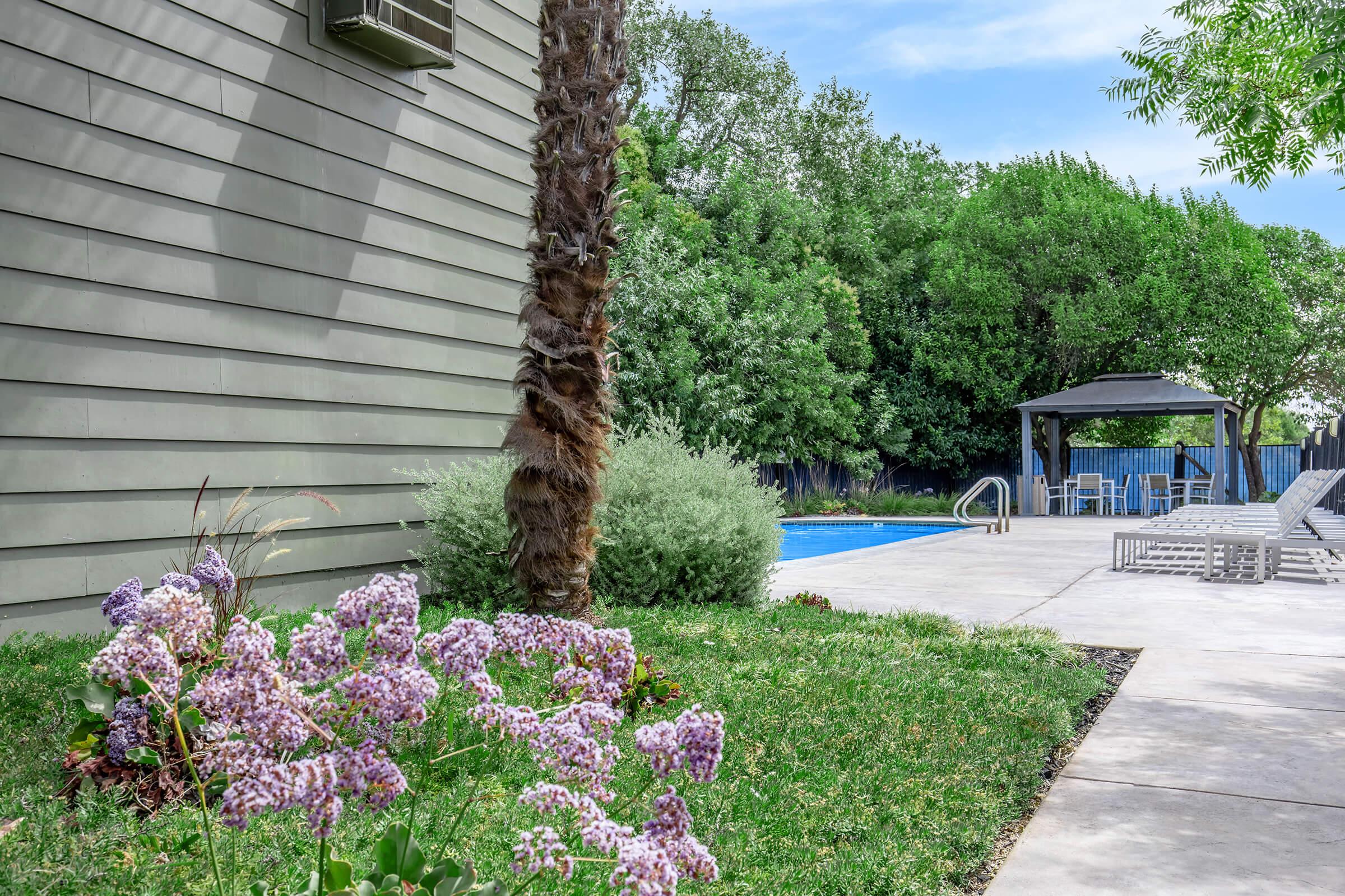 a garden in front of a house