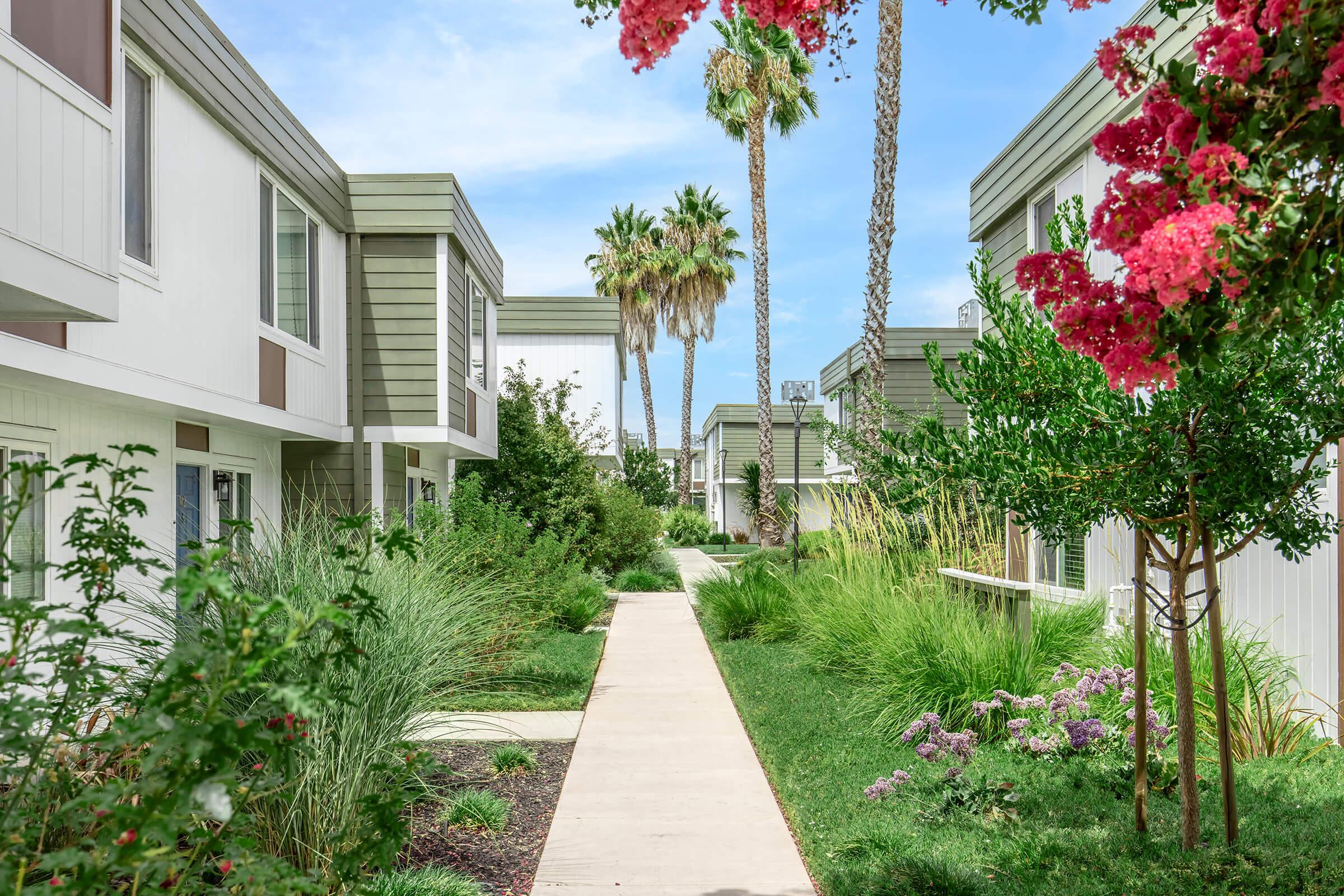 a close up of a flower garden in front of a house