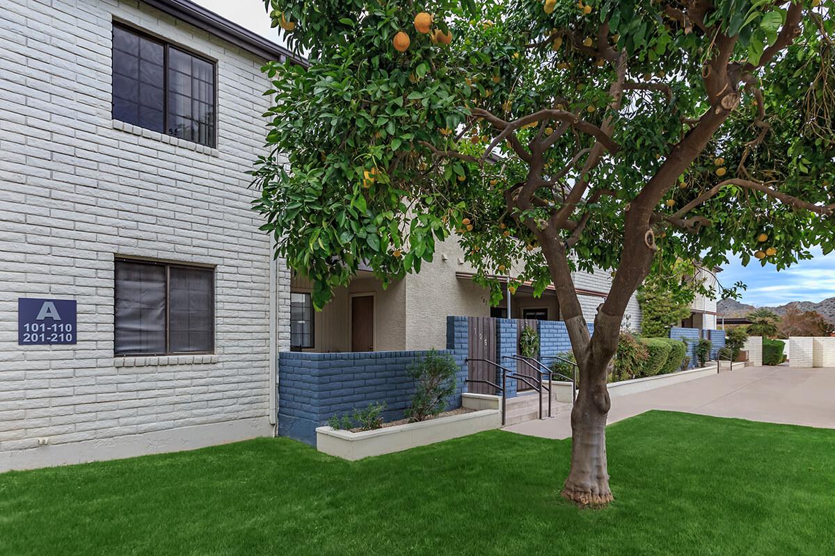 A landscaped area featuring a two-story building with white brick walls, a sign indicating apartment numbers, and a tree with green leaves and oranges. The pathway is lined with neatly trimmed grass and shrubs.