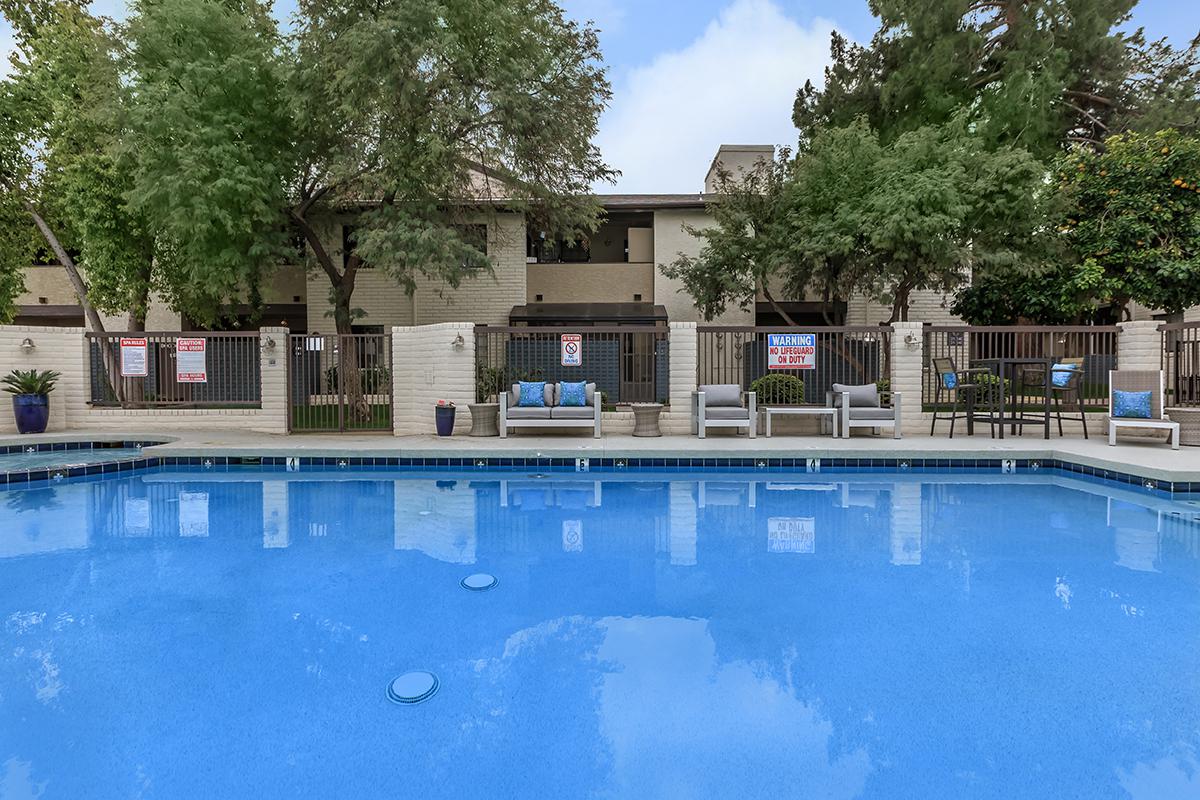 A serene swimming pool surrounded by green trees and lounge chairs, with residential buildings in the background. There are signs posted on the fence, and the sky is partly cloudy.