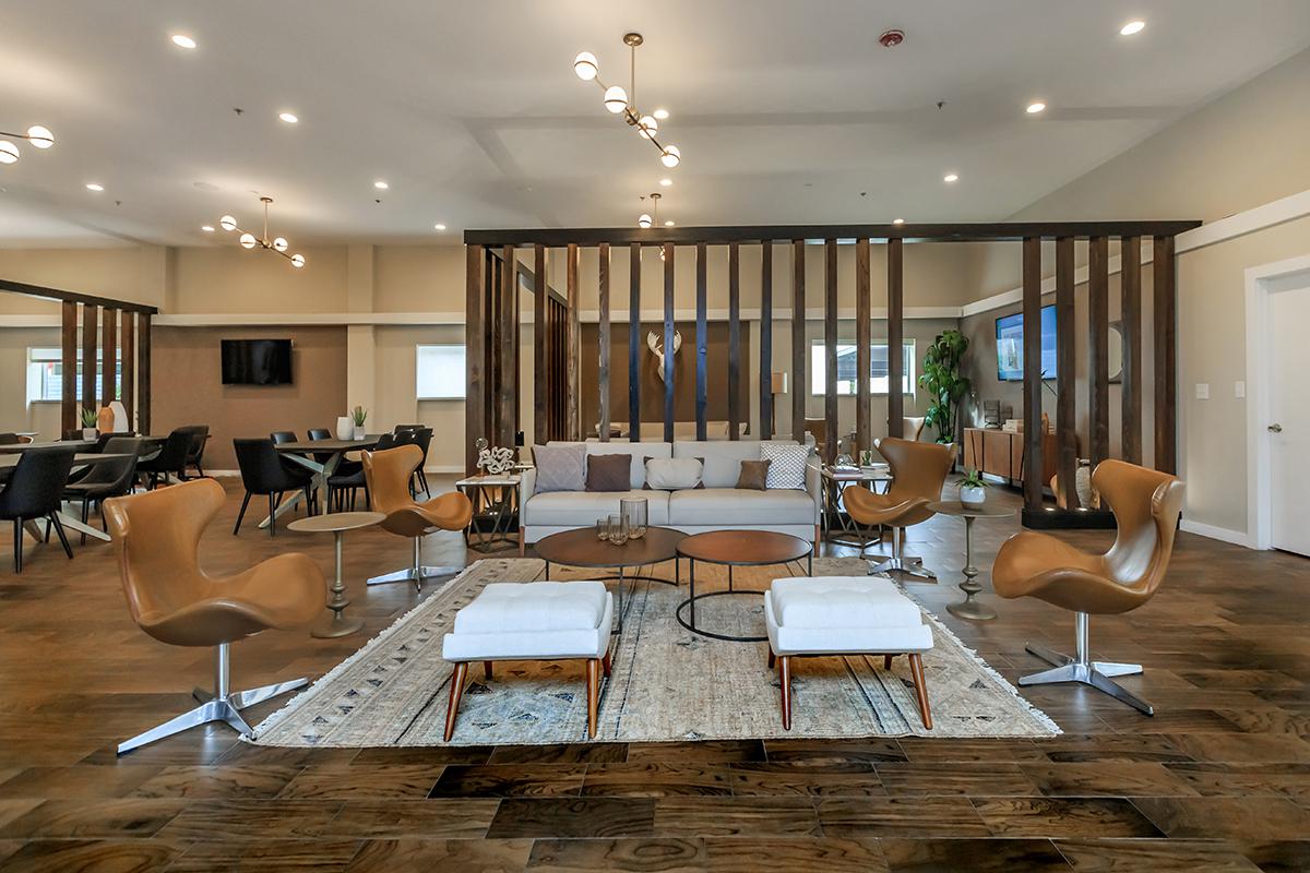 A modern lounge area featuring a series of stylish seating arrangements. There are curved brown chairs and white ottomans placed on a decorative rug. A wooden partition divides the space, and overhead lighting adds a warm ambiance. The room has large windows that allow natural light to fill the area.