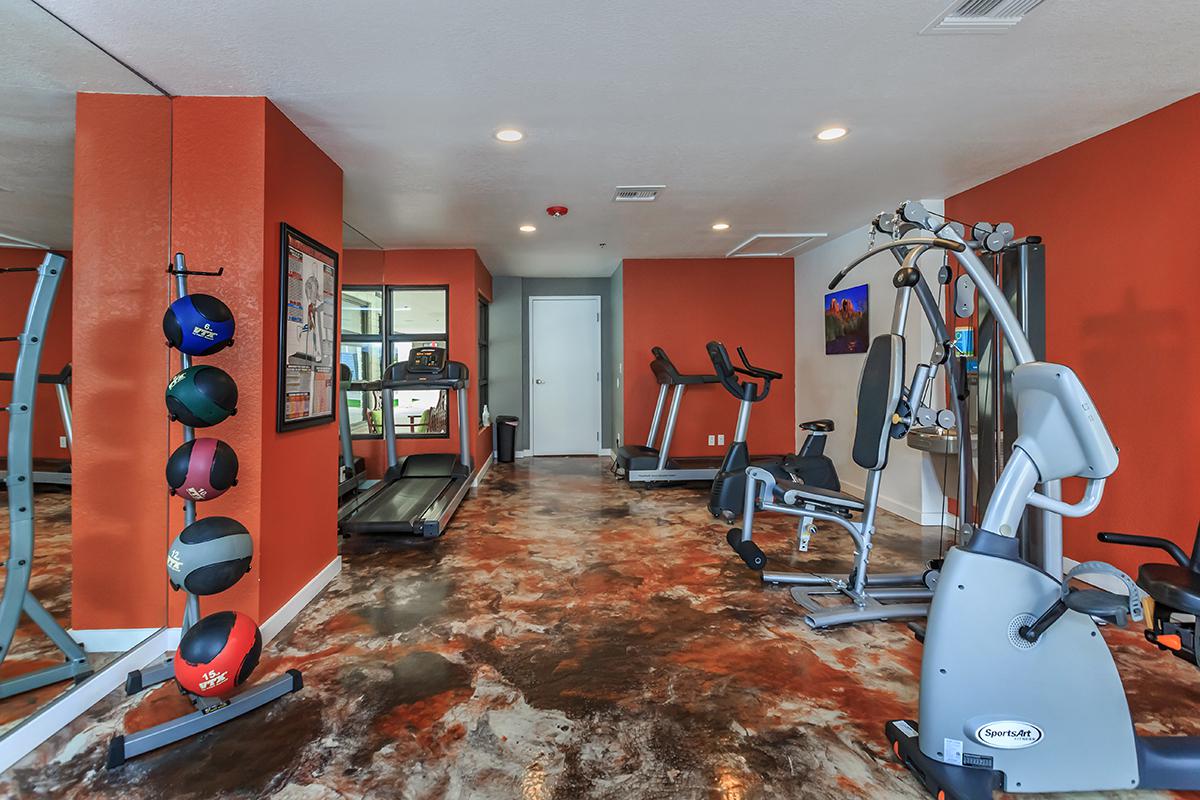 A well-equipped gym featuring various exercise machines, including a treadmill and multi-gym apparatus, with workout balls on a rack against a vibrant orange wall. The floor has a polished, multicolored finish, and there are mirrors and a door leading to another room.