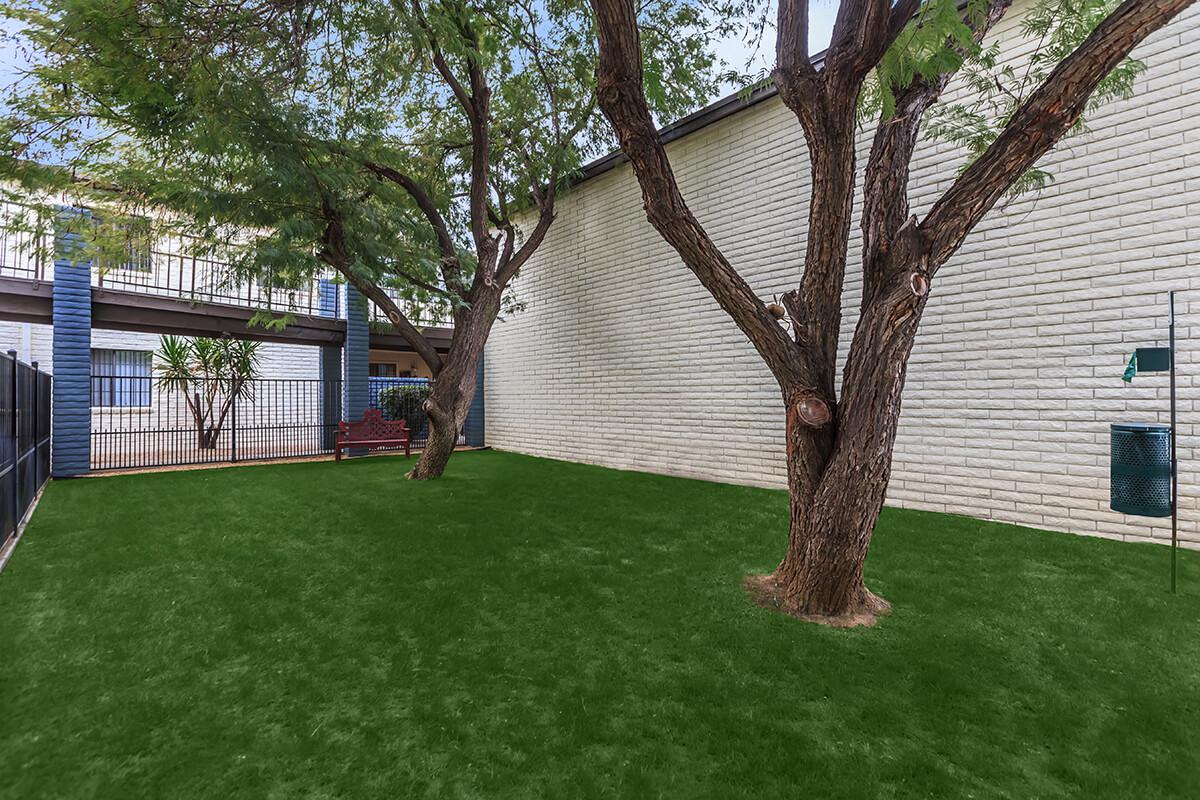 a tree in front of a house