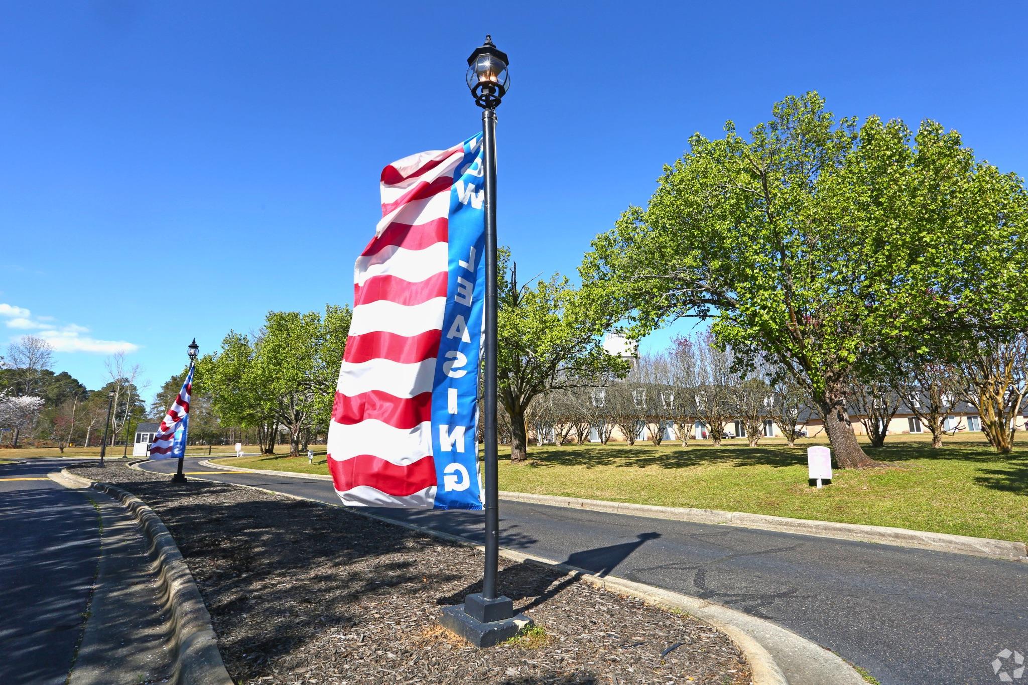 A clear sky with a few trees lining a pathway. Red, white, and blue flags on lampposts display the word "Leasing." The scene captures a welcoming and vibrant atmosphere, ideal for a residential or commercial property.