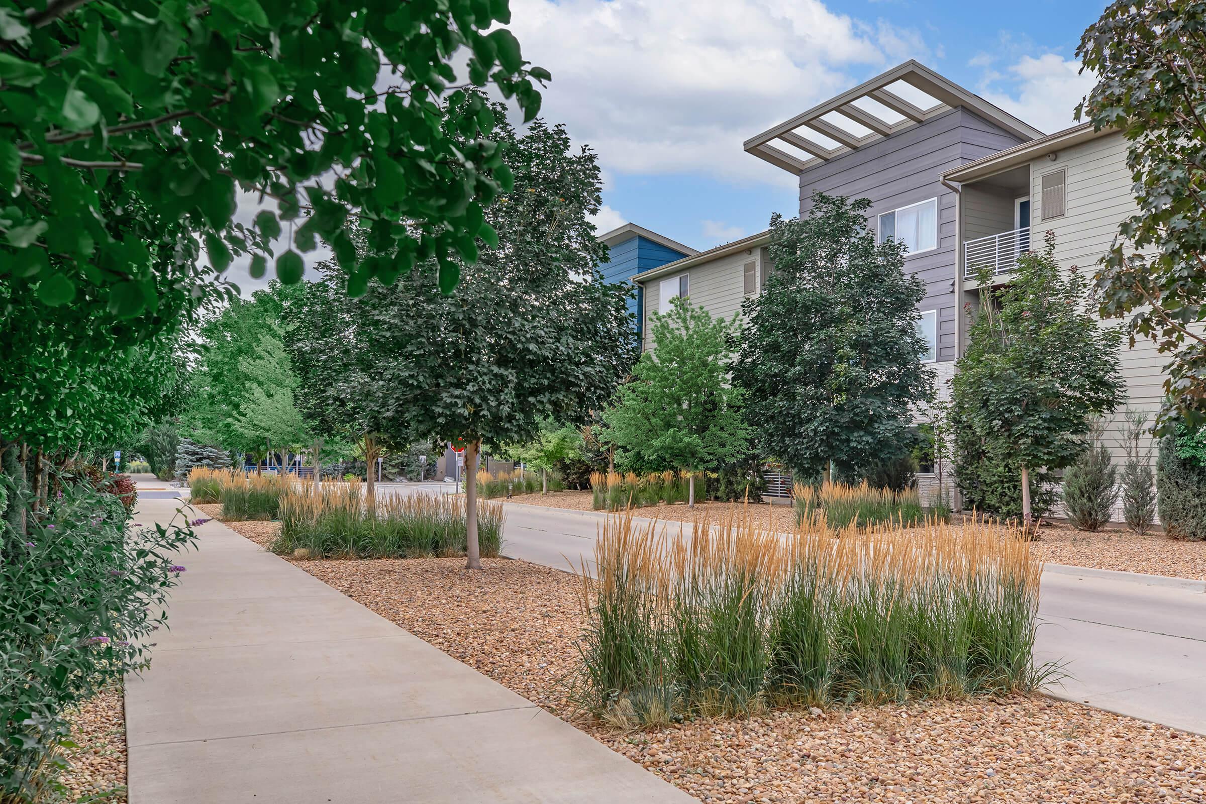 A landscaped walkway lined with trees and ornamental grasses, leading towards modern apartment buildings under a blue sky with scattered clouds. The path is flanked by gravel and greenery, creating a serene urban environment.