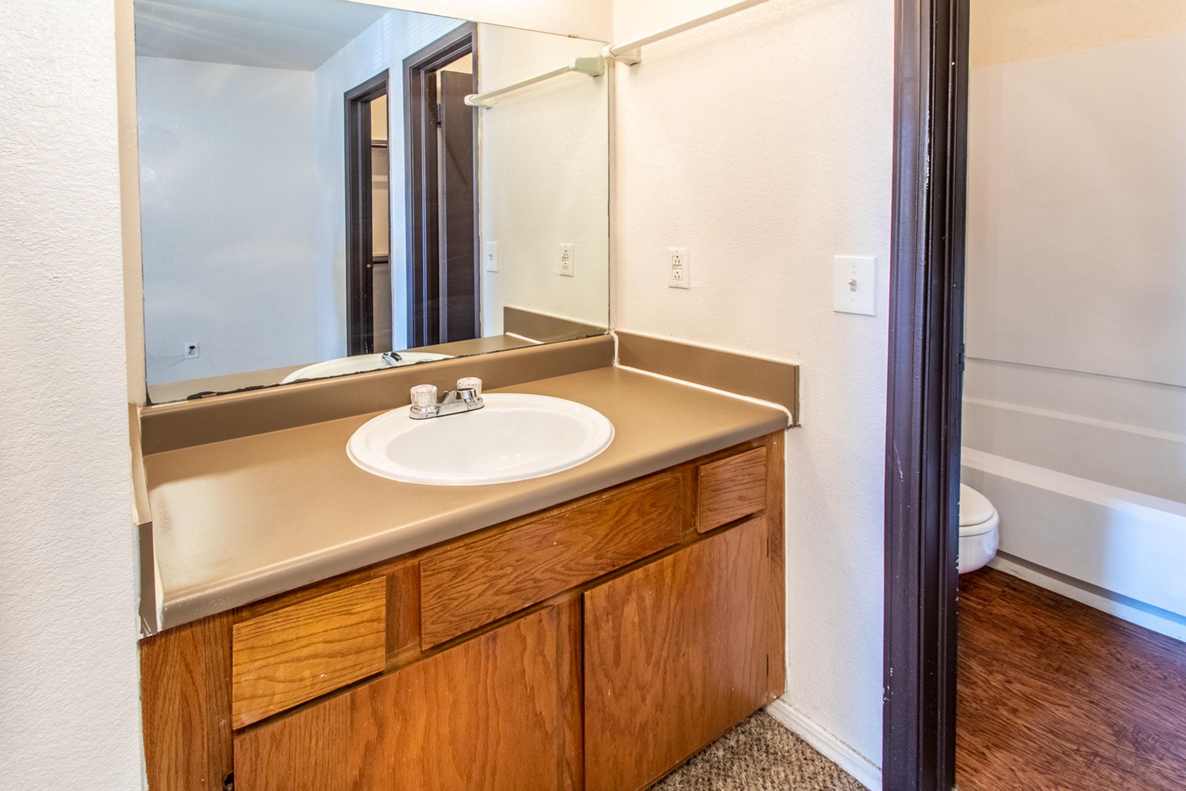 a double sink and large mirror