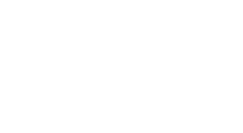 Villas at the Palms ebrochure logo