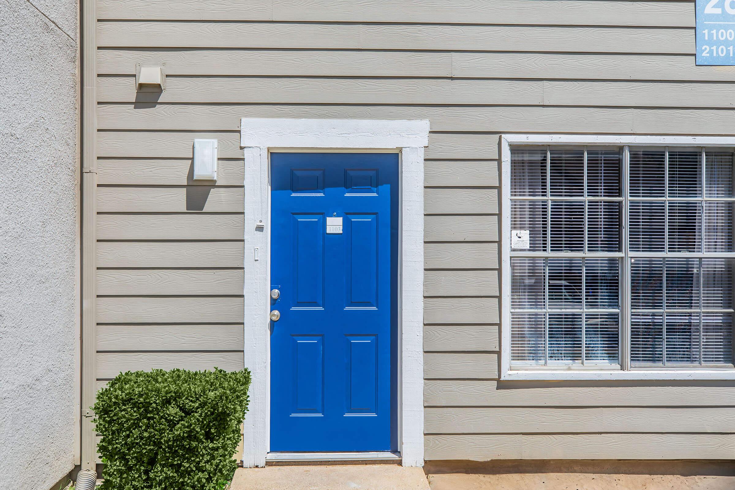 A bright blue front door with a white frame, set against a light gray wooden wall. To the right, there's a window with white blinds. A small green bush is planted near the door, adding a touch of greenery to the entrance.