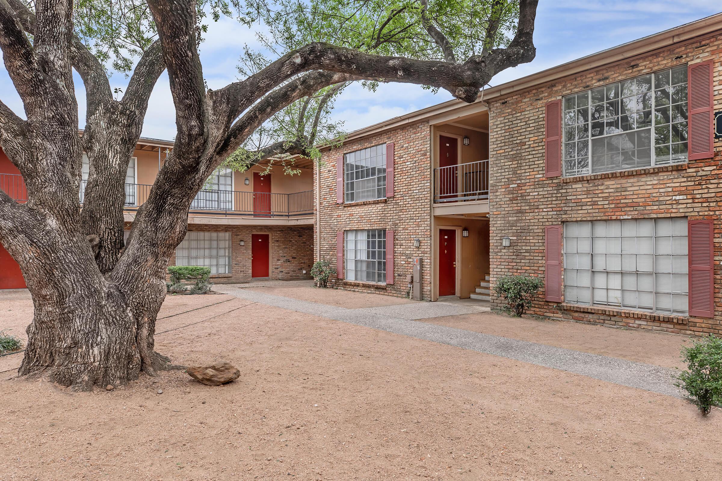 a tree in front of a brick building