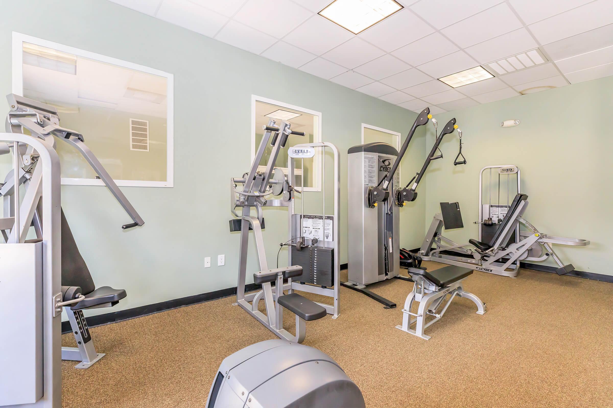 A modern gym interior featuring various exercise machines, including weight trainers and a cable machine, against light green walls. The flooring is carpeted, and there are windows allowing natural light into the space.