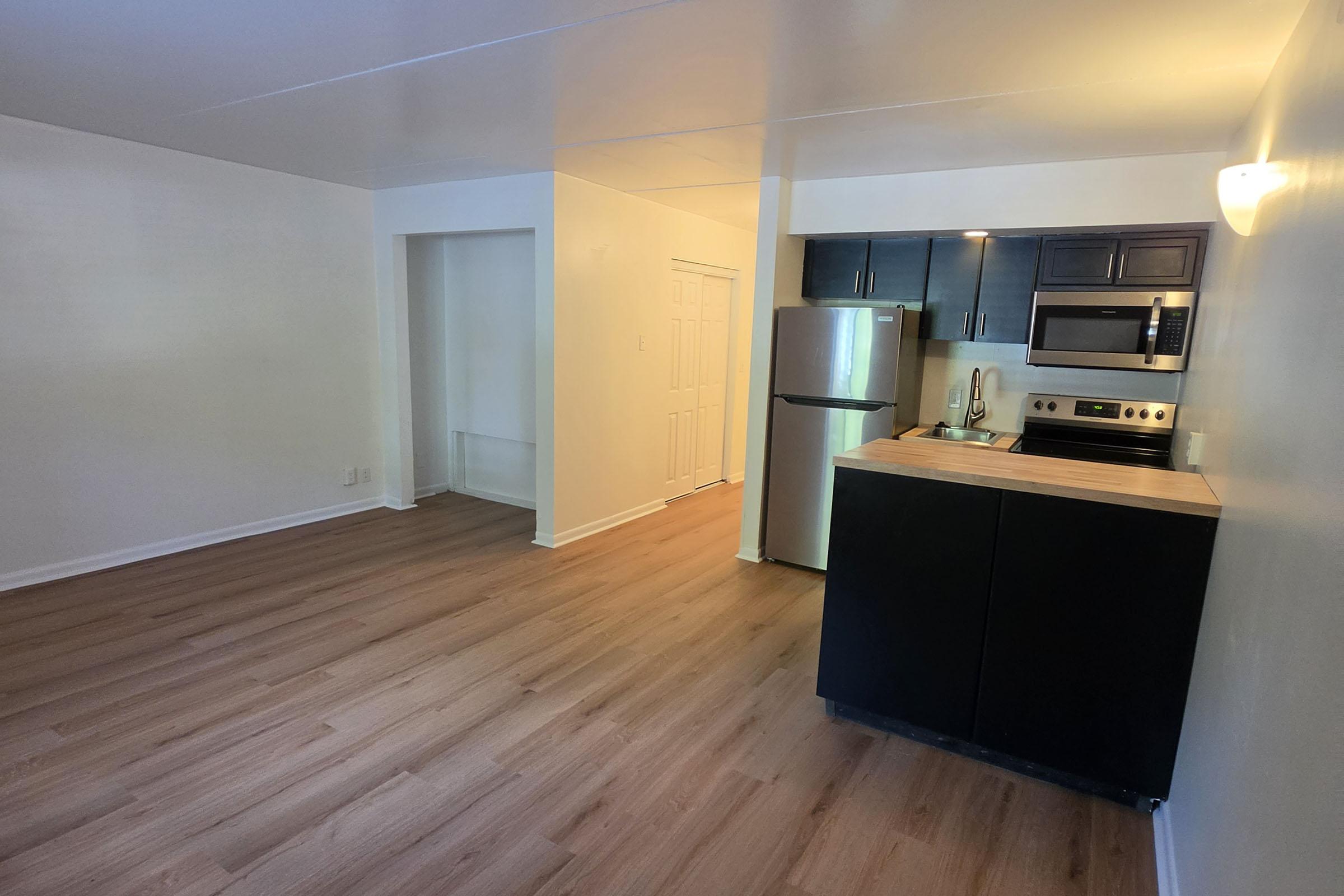 View of a modern, airy kitchen and living area. The kitchen features dark cabinets, stainless steel appliances, and a light-colored countertop. The flooring is light wood, and the walls are painted white, creating a bright and open atmosphere. A closet door is visible in the background.
