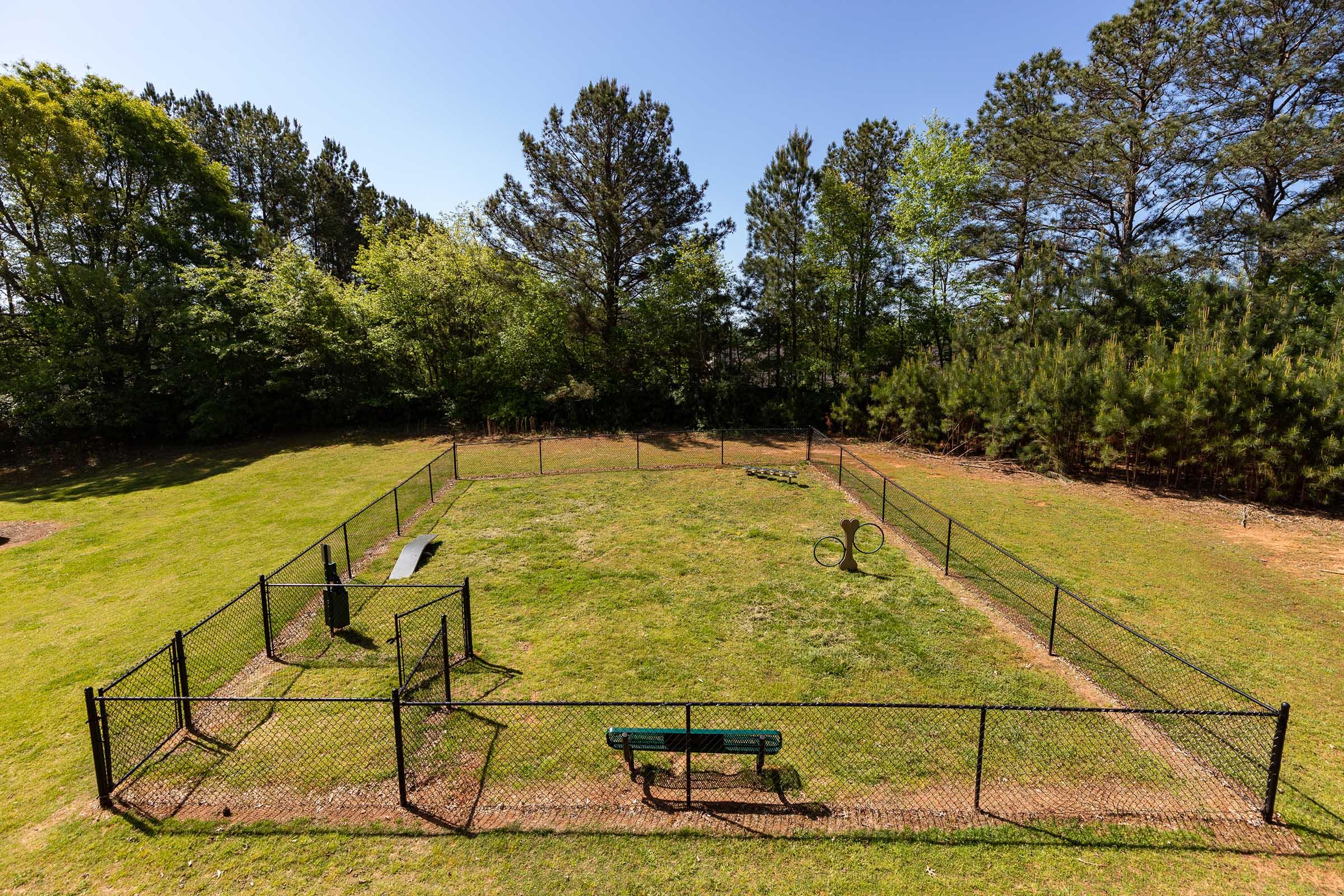 A spacious, fenced-in dog park featuring a grassy area with agility equipment, including a tunnel and an elevated platform. Surrounding trees provide shade, and a bench is positioned for visitors to sit and watch their dogs play. The sky is clear and bright, enhancing the park's inviting atmosphere.