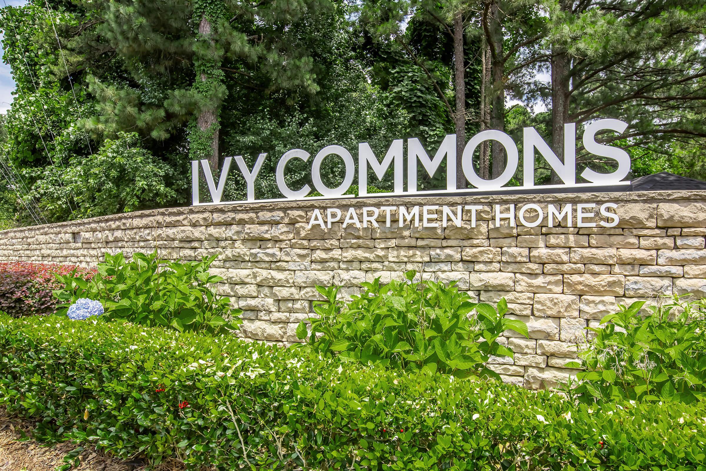 Signage for Ivy Commons Apartment Homes, featuring large white letters on a stone wall, surrounded by lush greenery and bushes. Tall trees in the background enhance the natural setting.