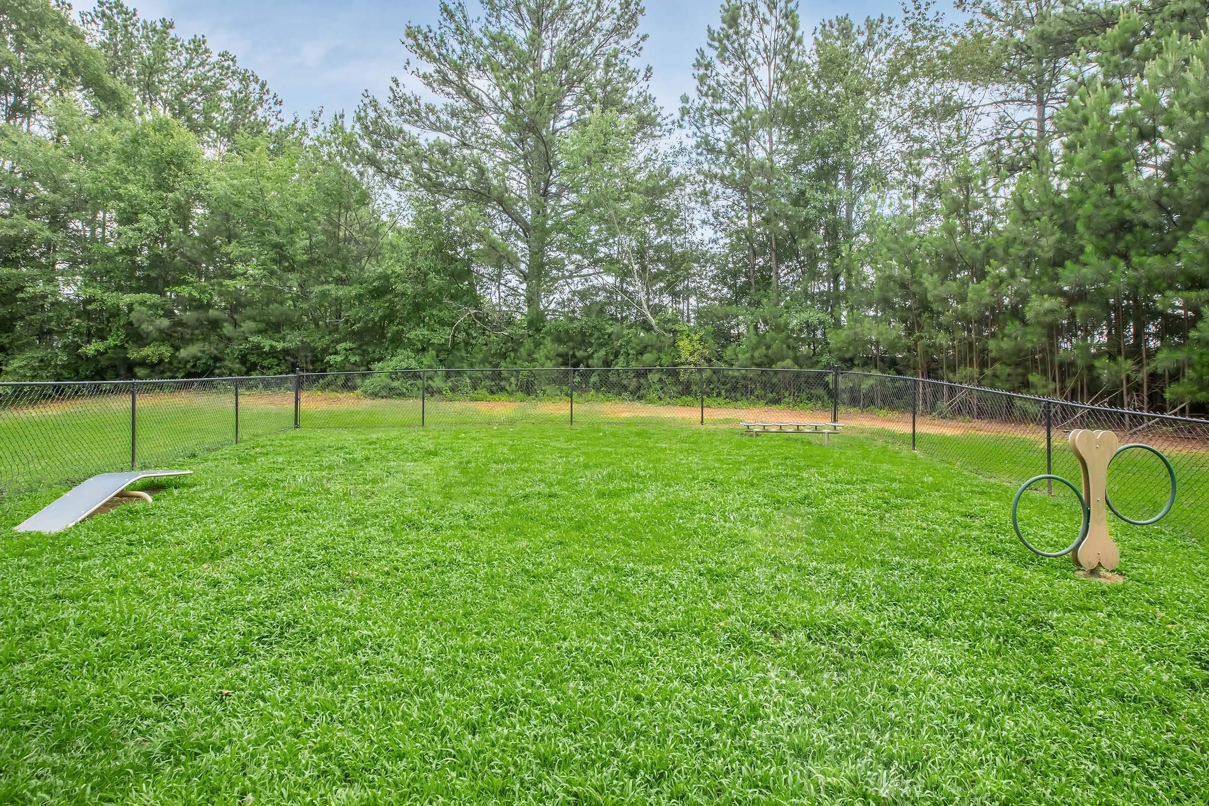 A spacious, grassy outdoor area enclosed by a fence, featuring scattered trees in the background. The space includes agility equipment, such as a low ramp and a hoop, suggesting it is designed for dog training or play. The overall setting is serene and well-maintained.