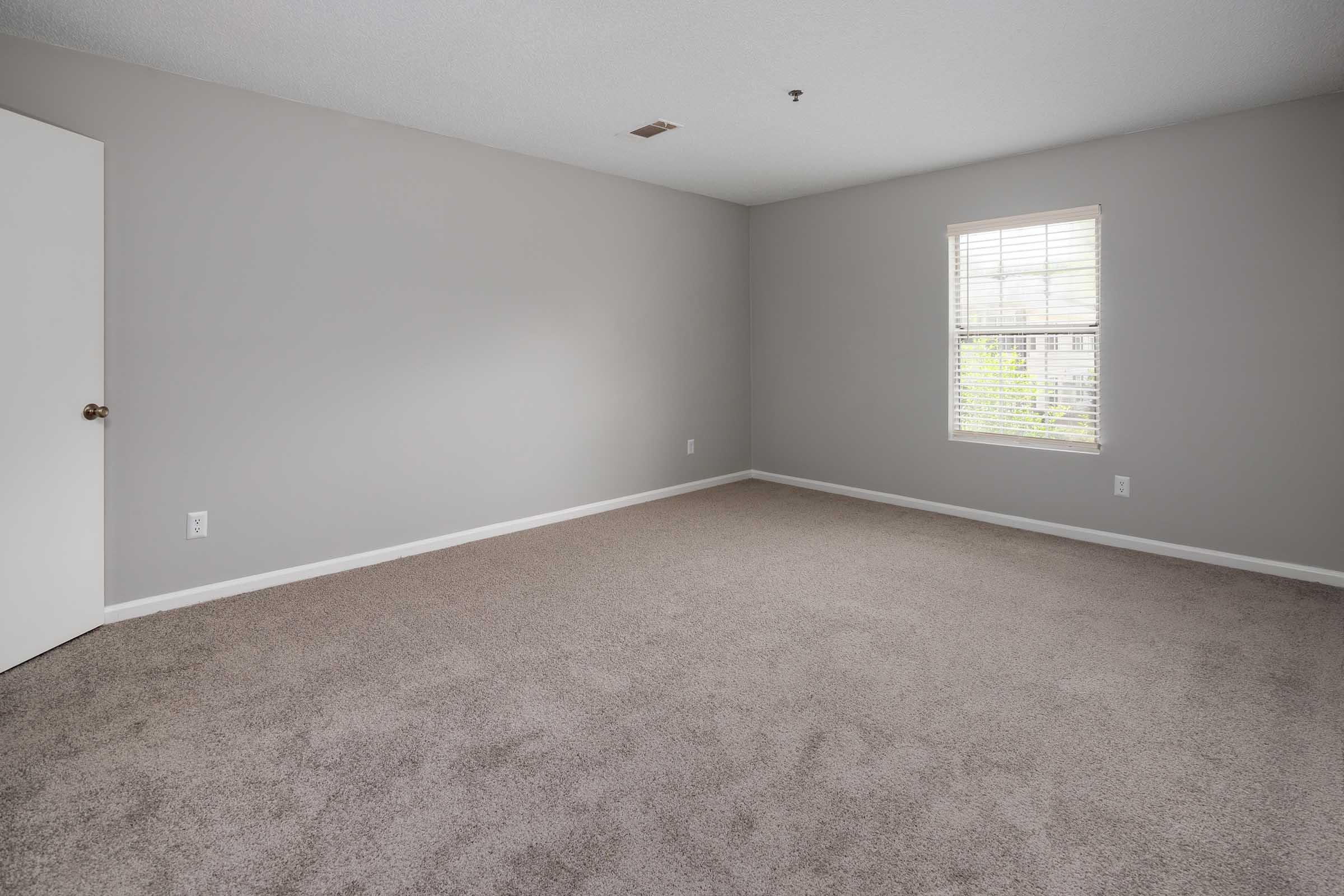 A spacious, empty room with gray walls and carpeted flooring. Natural light enters through a window with blinds, illuminating the area. A white door is visible on the left side, contributing to the minimalist and clean aesthetic of the space.