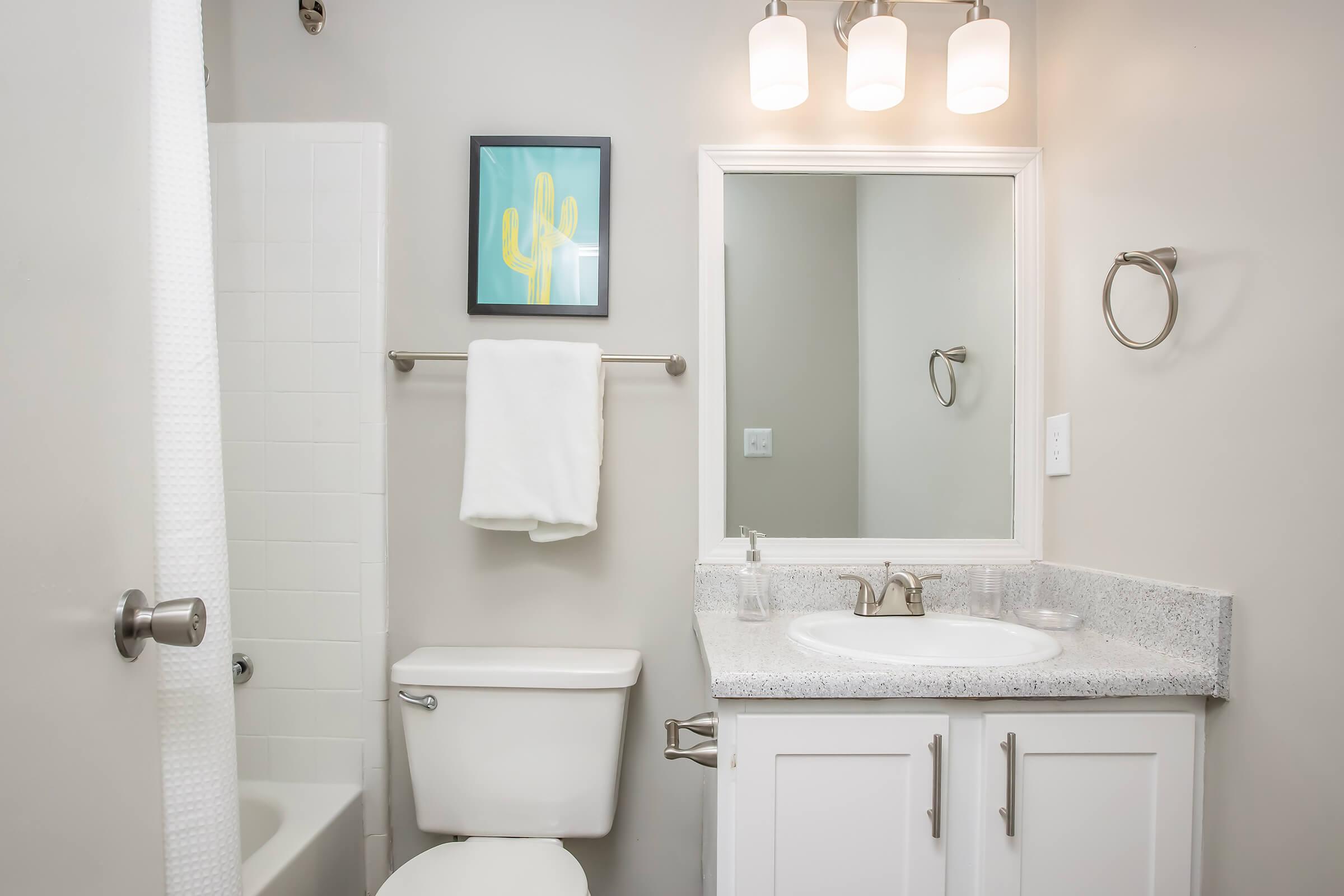 A clean and modern bathroom featuring a white toilet, sink with a granite countertop, and a mirror above the sink. A white towel hangs on a towel bar, and a shower area with a white curtain is visible. A colorful cactus artwork adds a decorative touch to the wall.